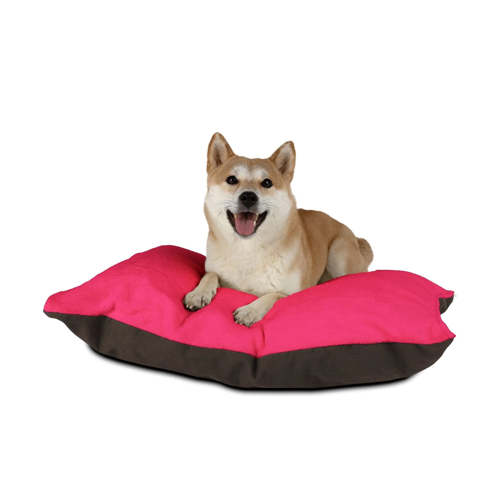 Buy The Best By Artsulli x Color Printify - Pet Bed - 2025