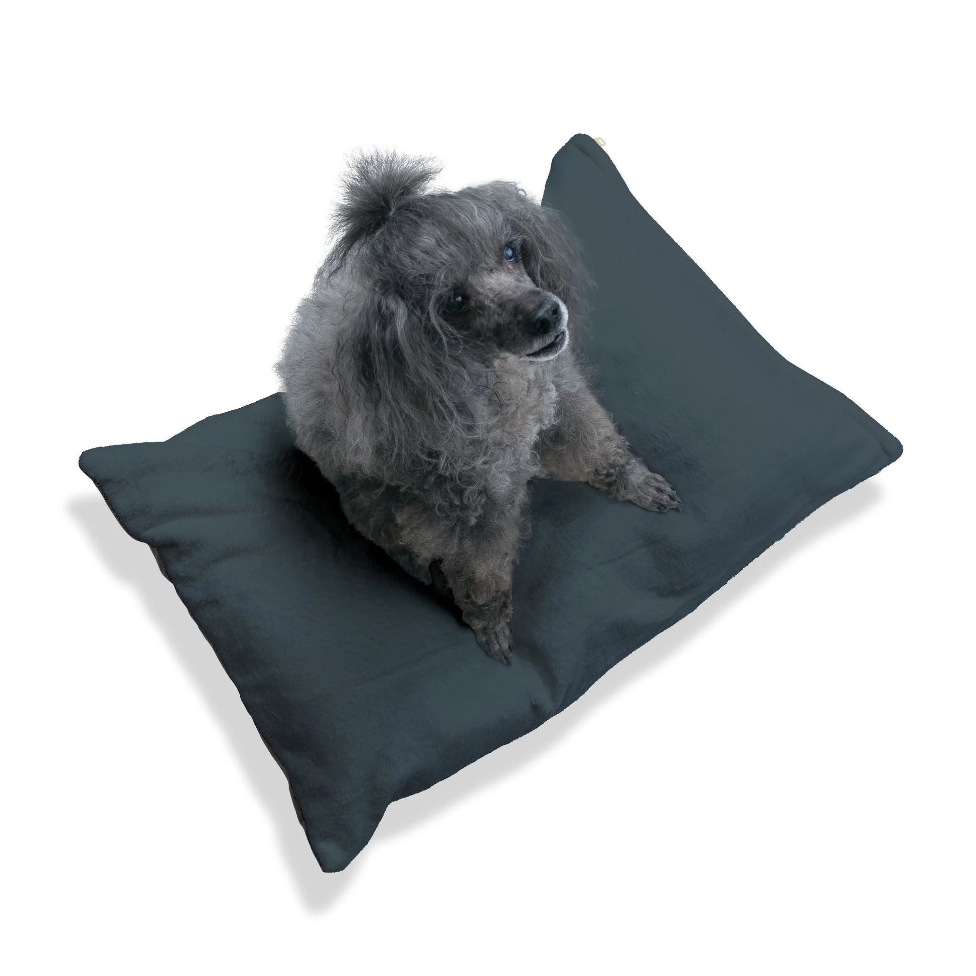 Buy The Best By Artsulli x Color Printify - Pet Bed - 2025