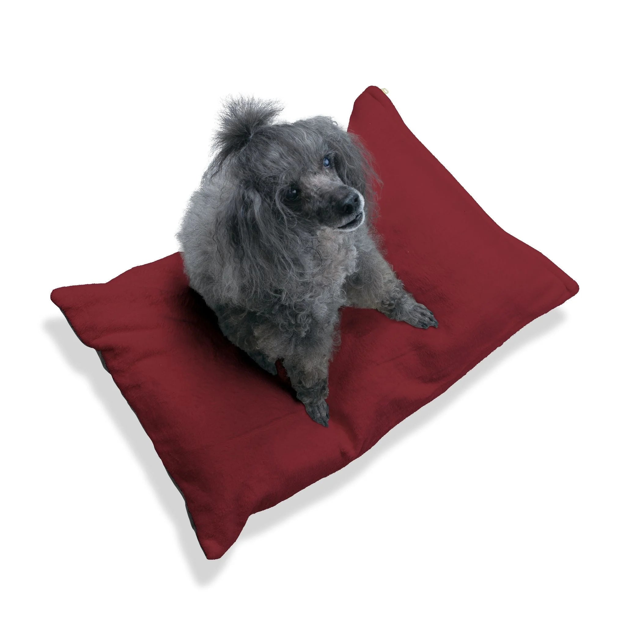 Buy The Best By Artsulli x Color Printify - Pet Bed - 2025