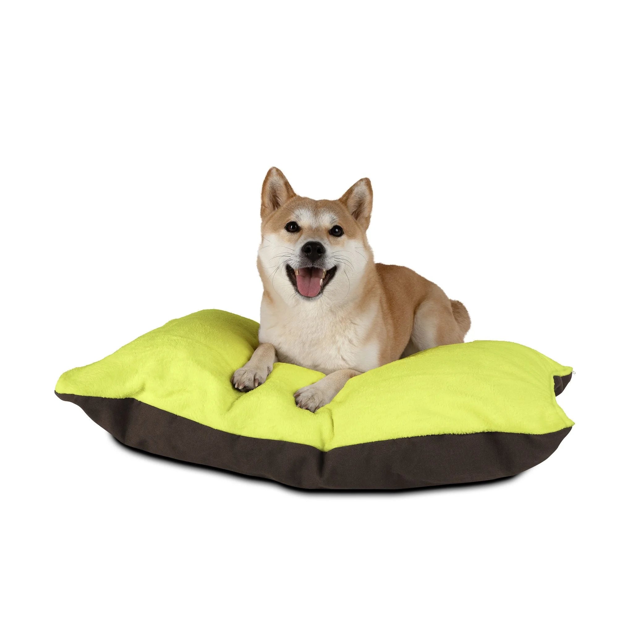 Buy The Best By Artsulli x Color Printify - Pet Bed - 2025
