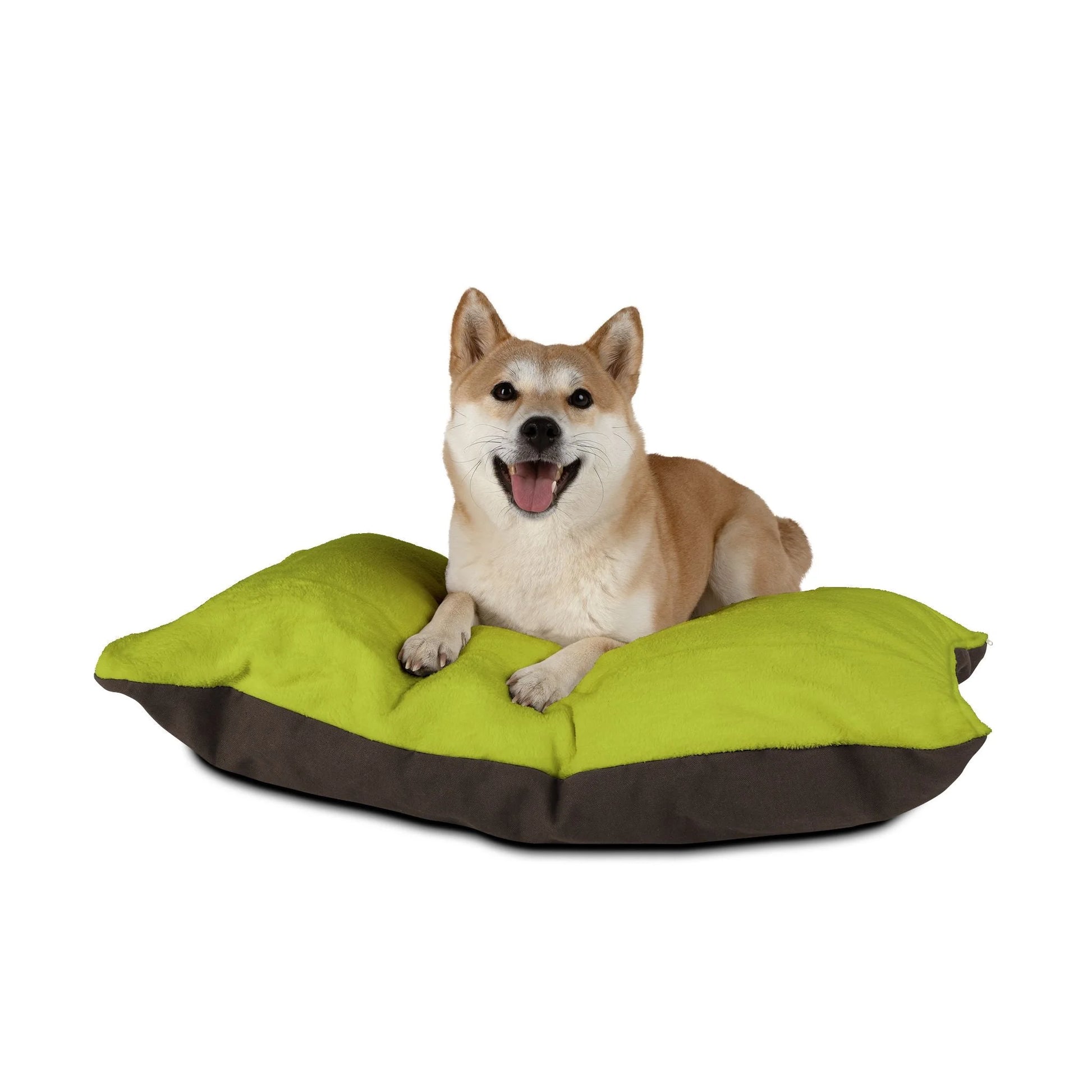 Buy The Best By Artsulli x Color Printify - Pet Bed - 2025