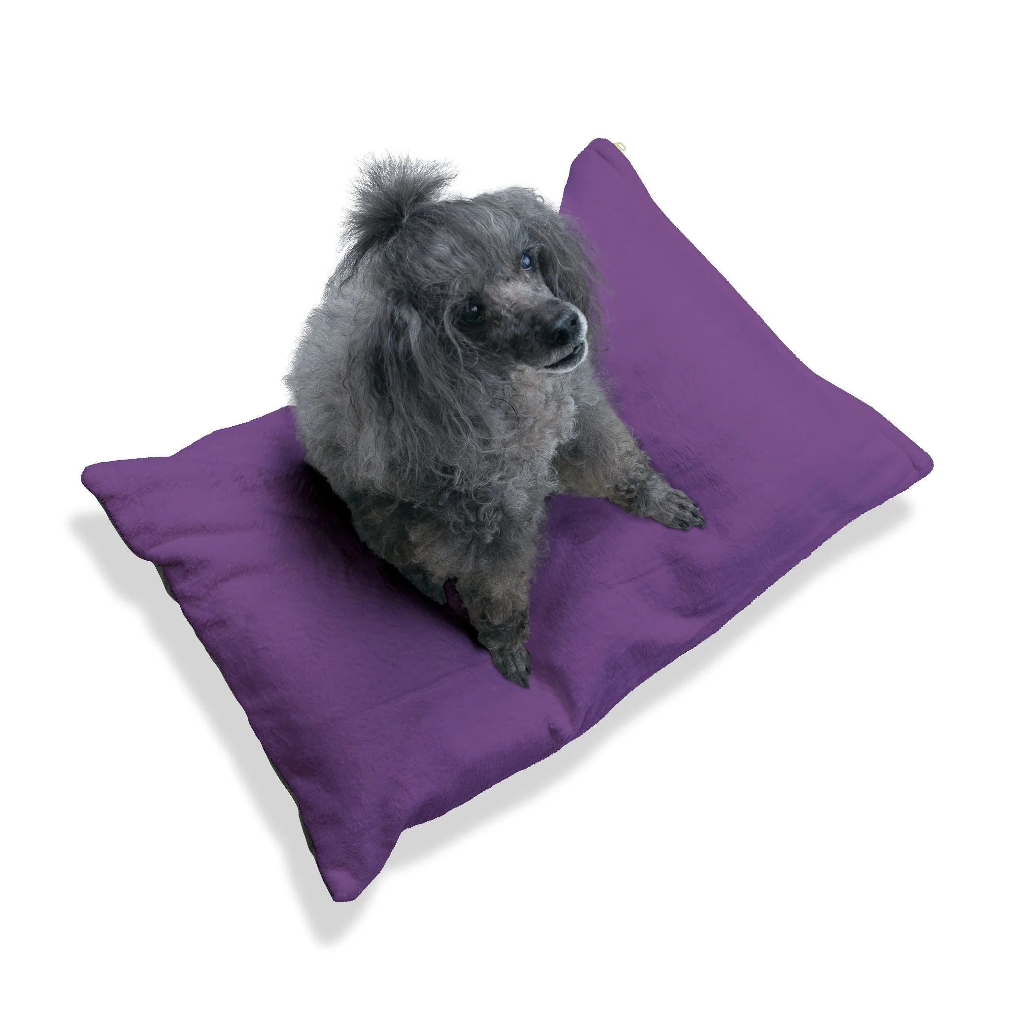 Buy The Best By Artsulli x Color Printify - Pet Bed - 2025