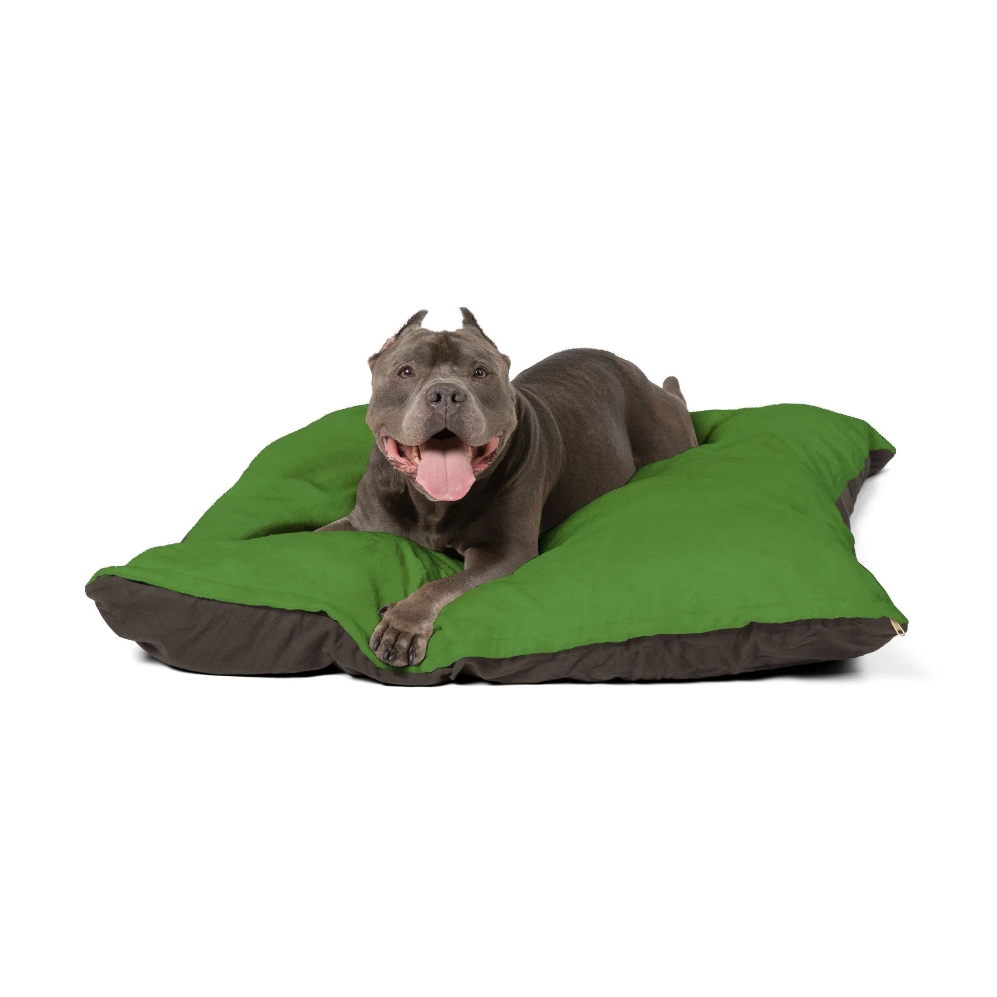 Buy The Best By Artsulli x Color Printify - Pet Bed - 2025