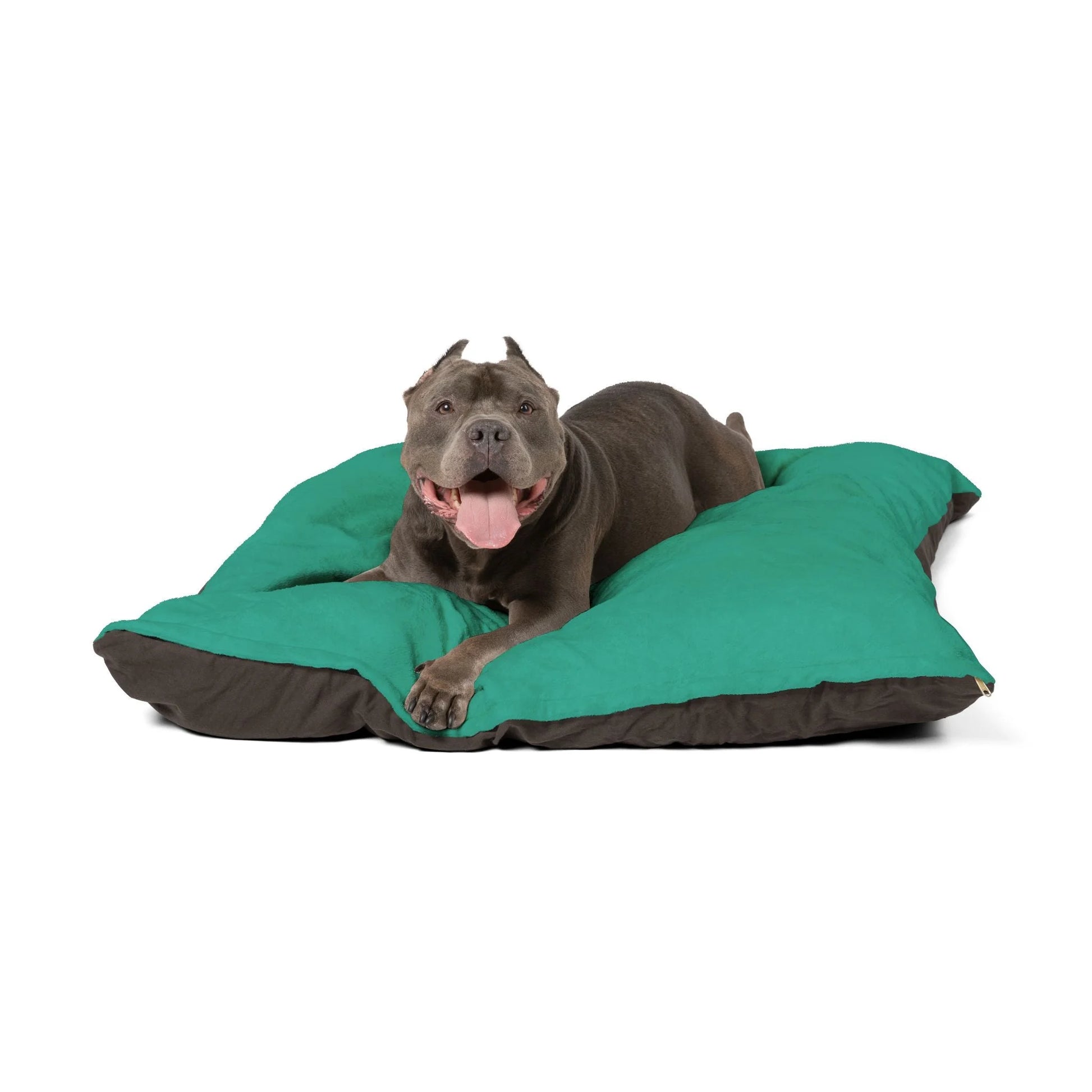 Buy The Best By Artsulli x Color Printify - Pet Bed - 2025