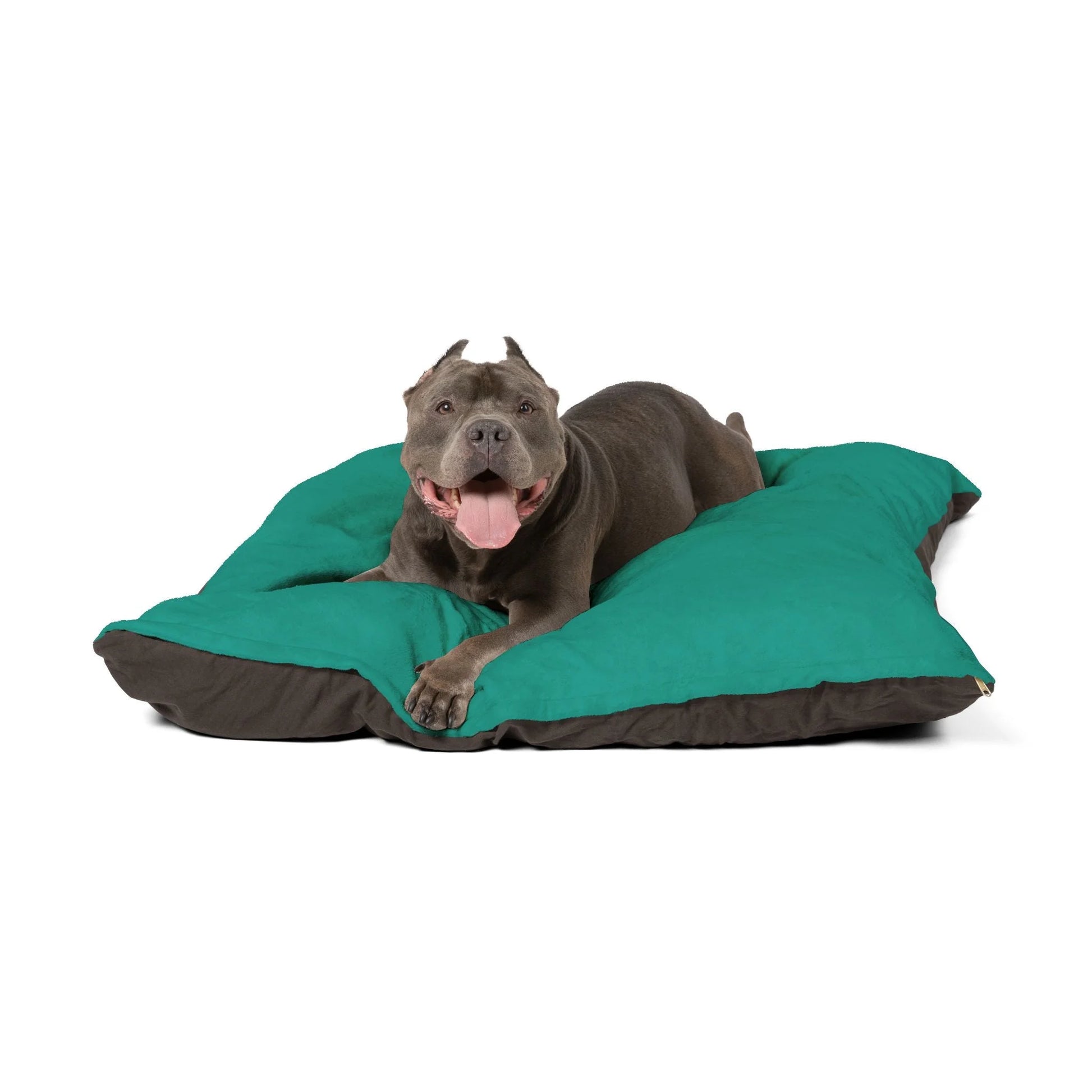 Buy The Best By Artsulli x Color Printify - Pet Bed - 2025