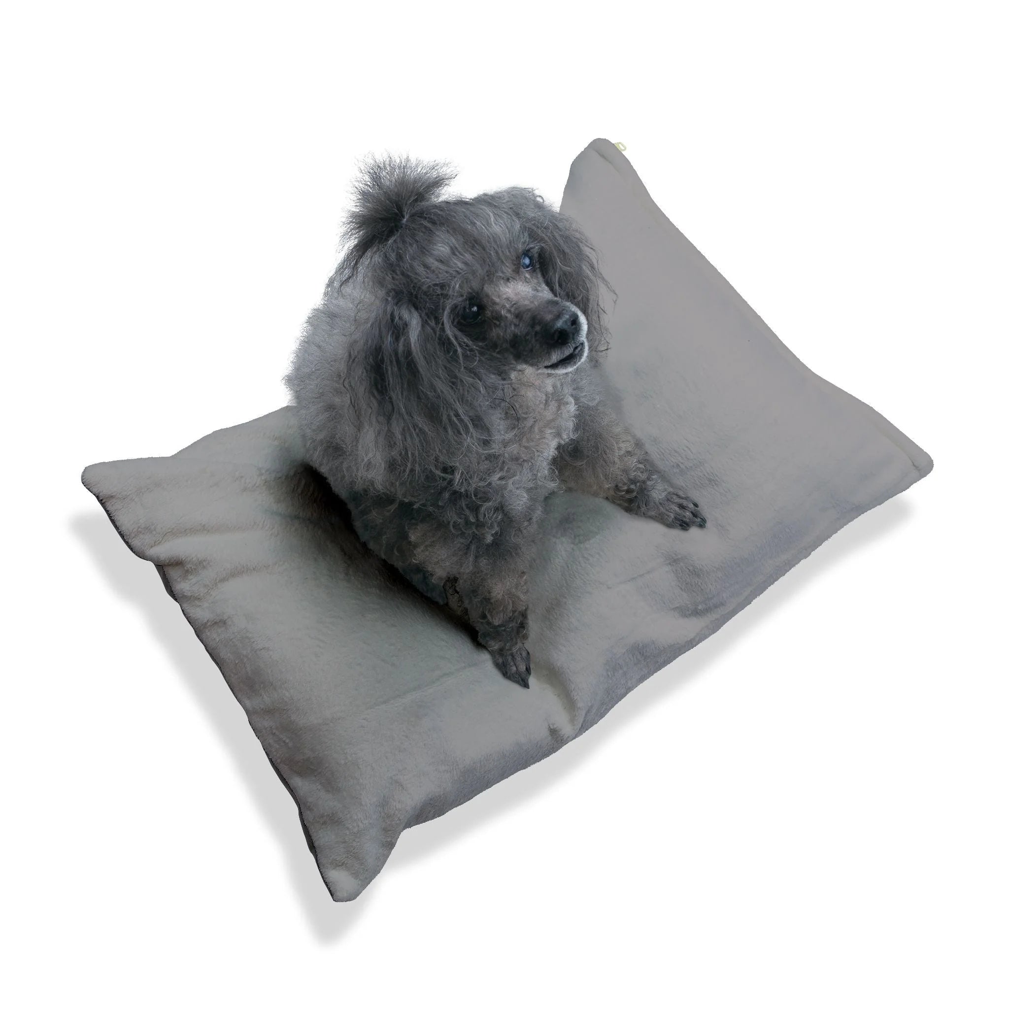 Buy The Best By Artsulli x Color Printify - Pet Bed - 2025