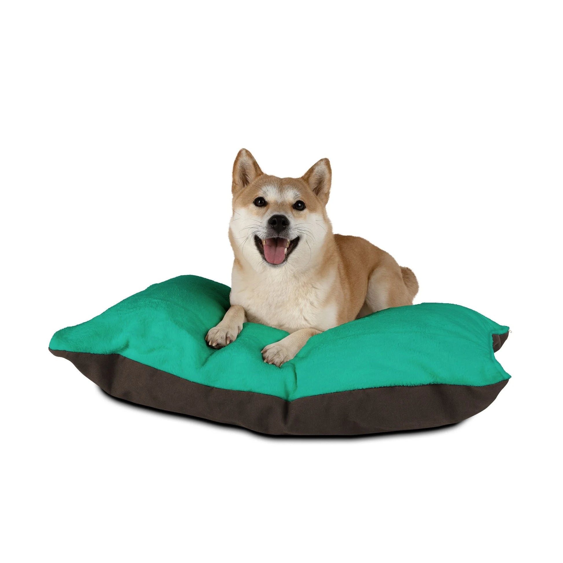 Buy The Best By Artsulli x Color Printify - Pet Bed - 2025