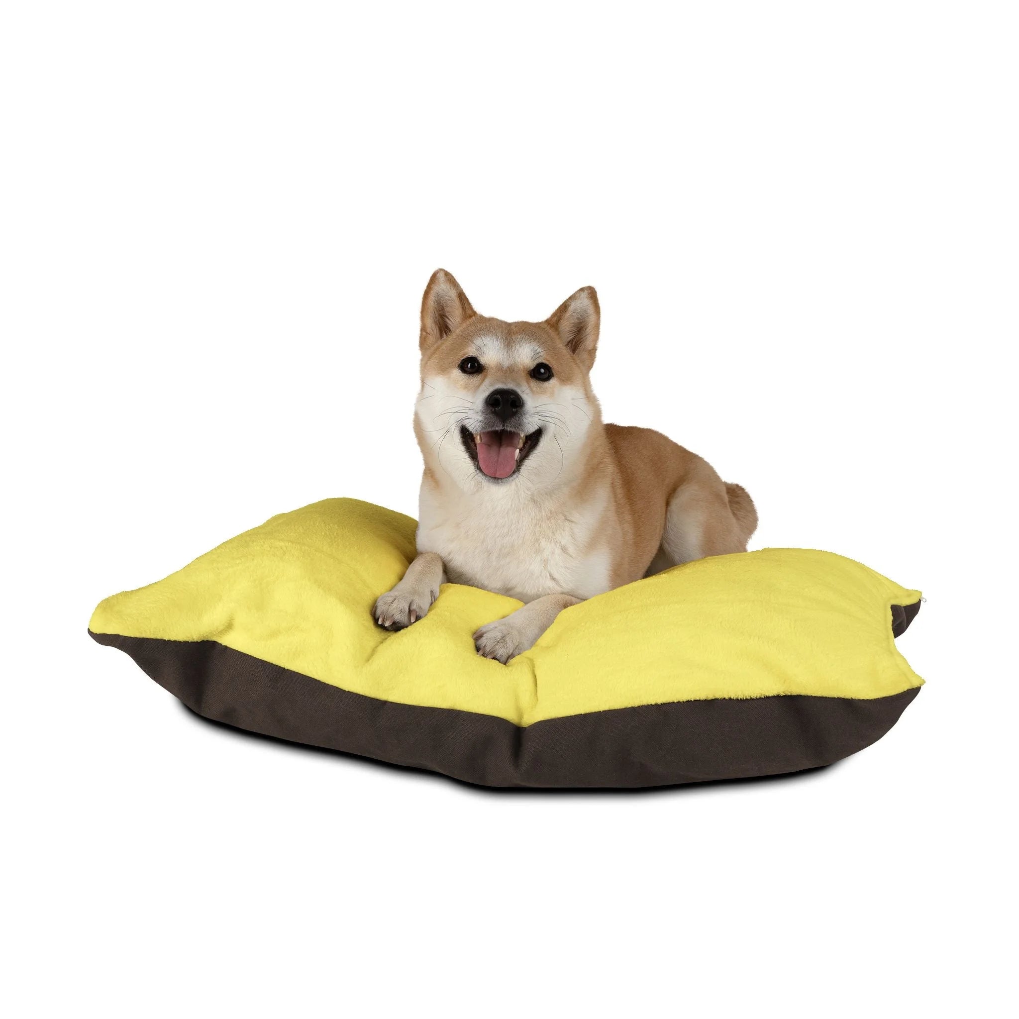 Buy The Best By Artsulli x Color Printify - Pet Bed - 2025