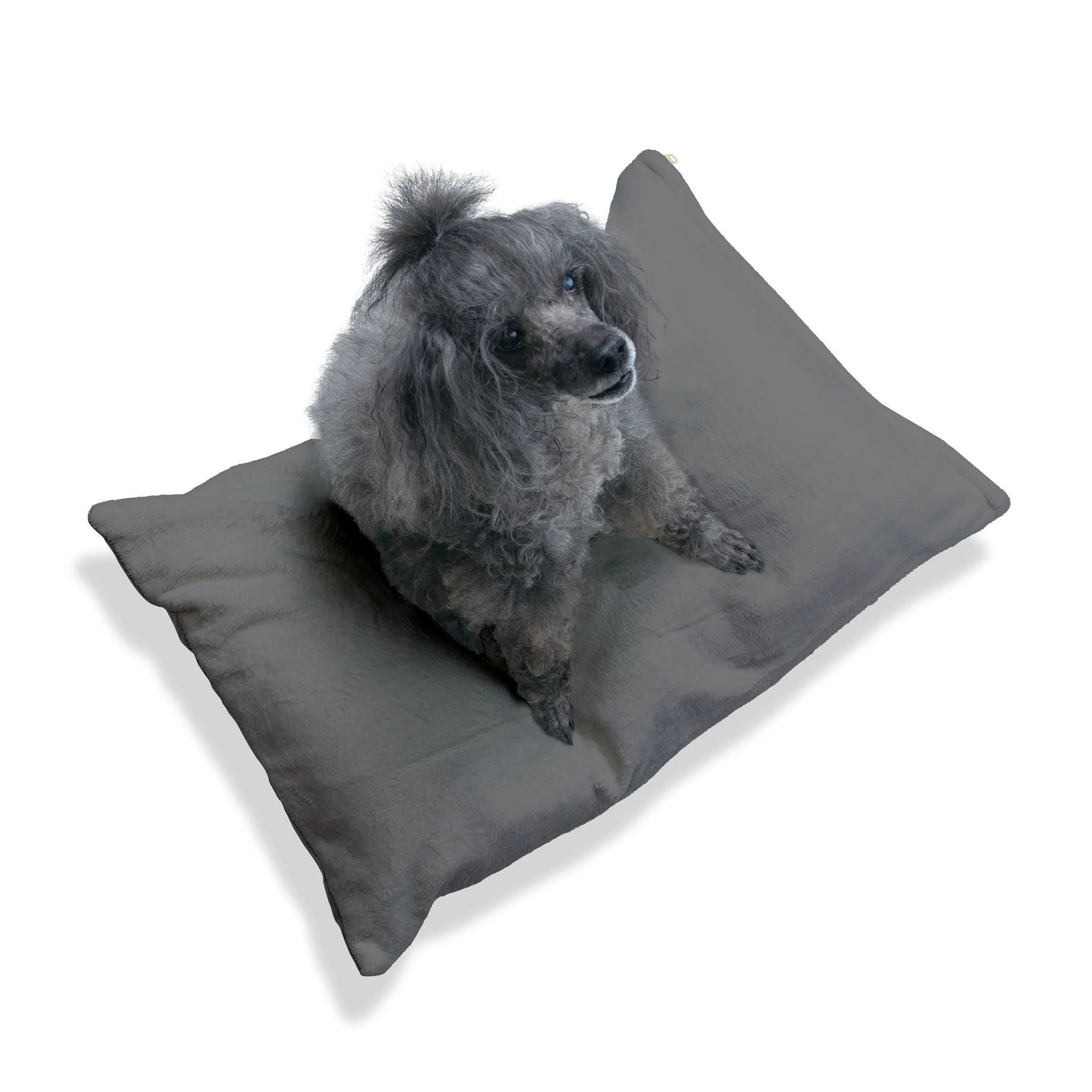 Buy The Best By Artsulli x Color Printify - Pet Bed - 2025