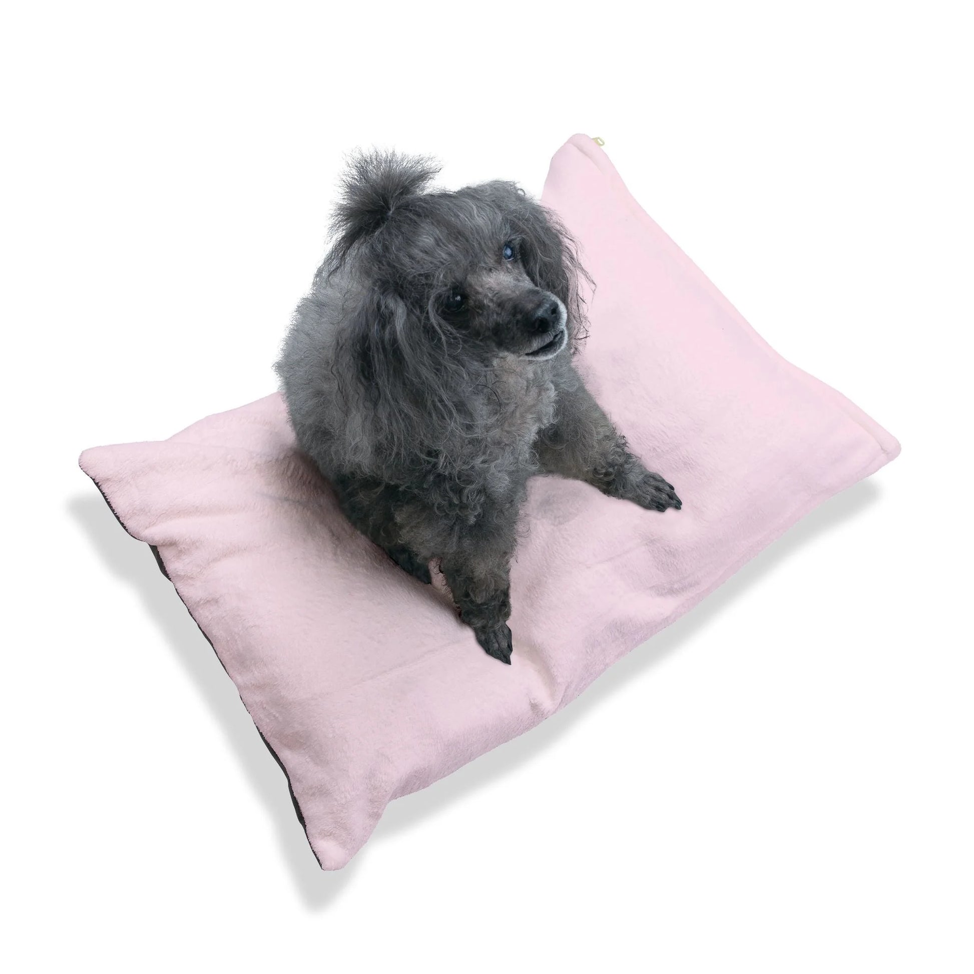 Buy The Best By Artsulli x Color Printify - Pet Bed - 2025