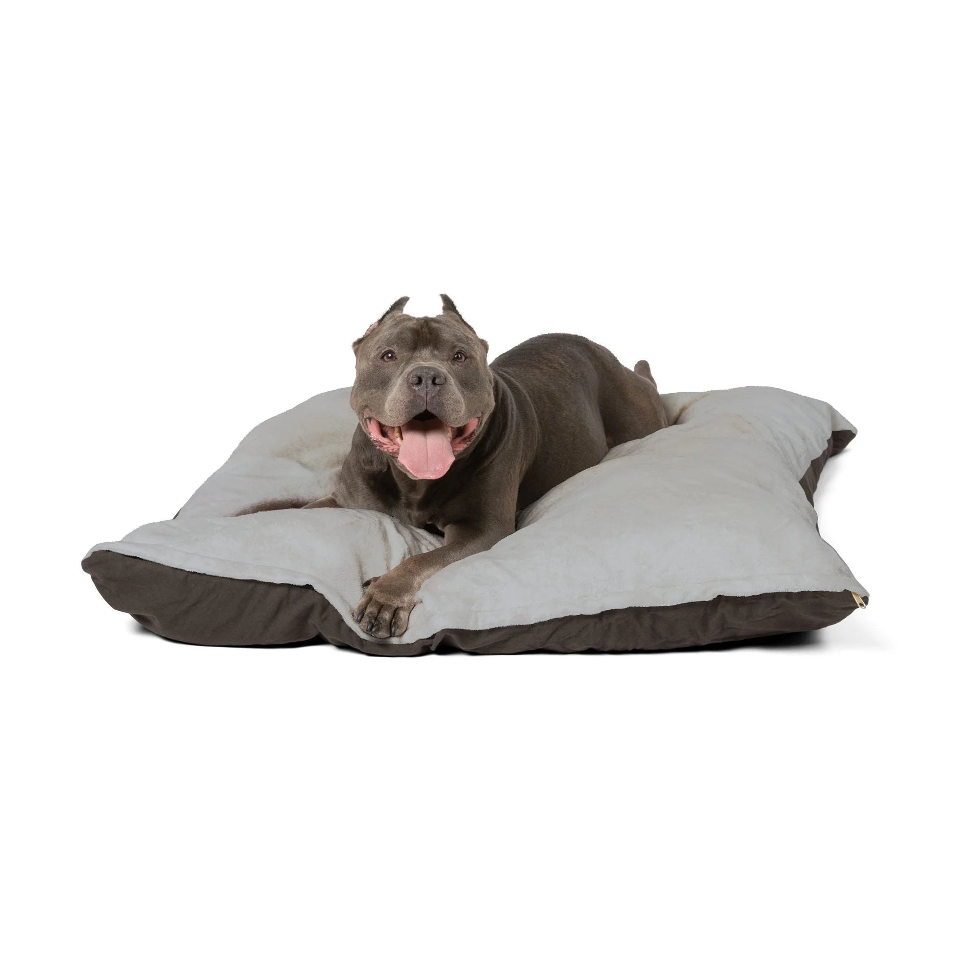 Buy The Best By Artsulli x Color Printify - Pet Bed - 2025