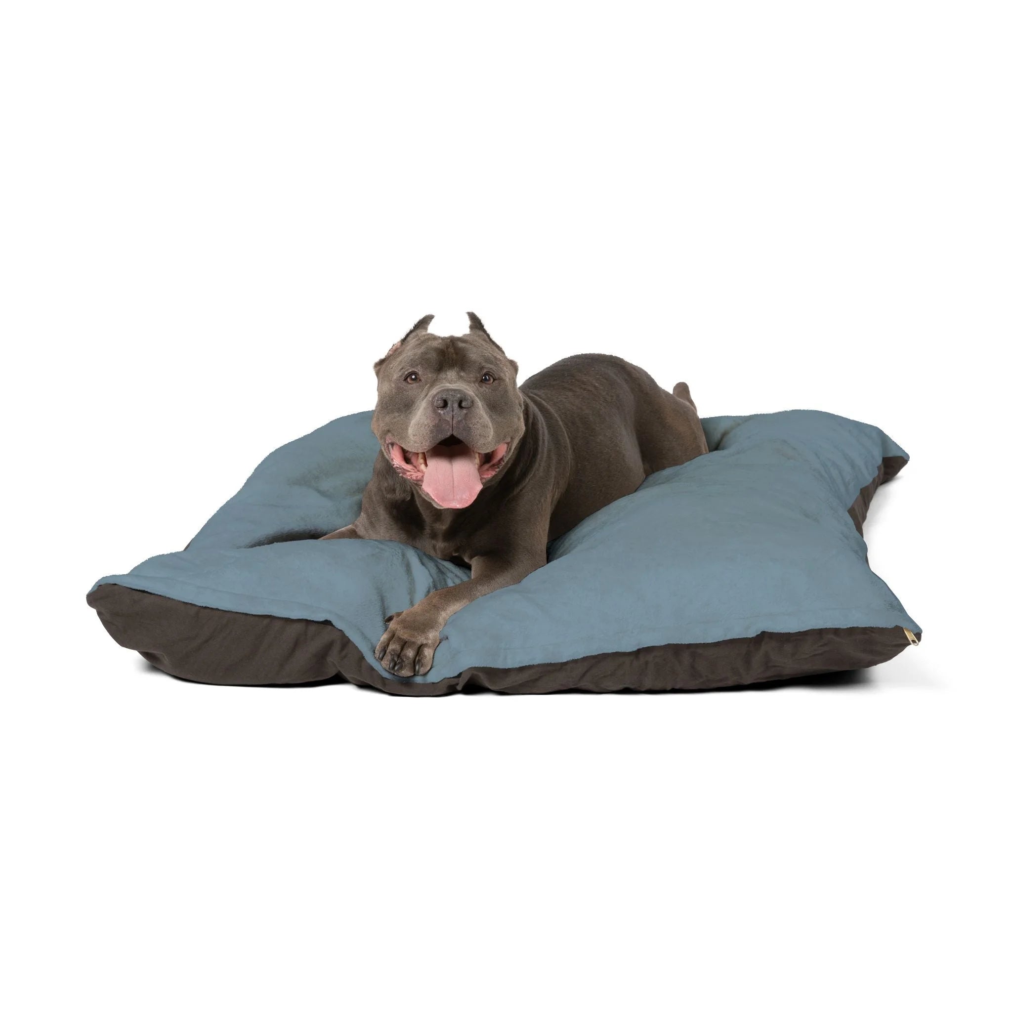 Buy The Best By Artsulli x Color Printify - Pet Bed - 2025