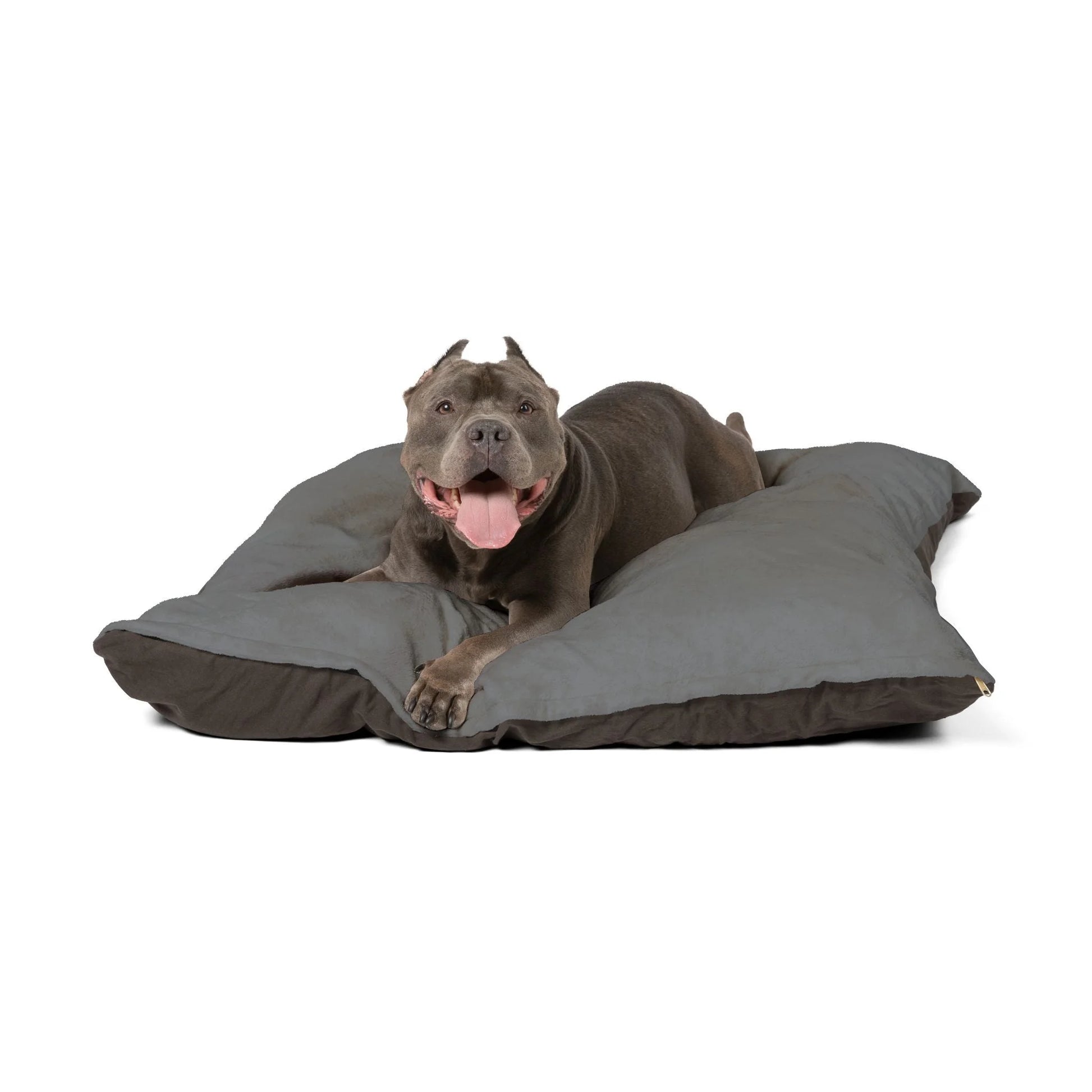 Buy The Best By Artsulli x Color Printify - Pet Bed - 2025