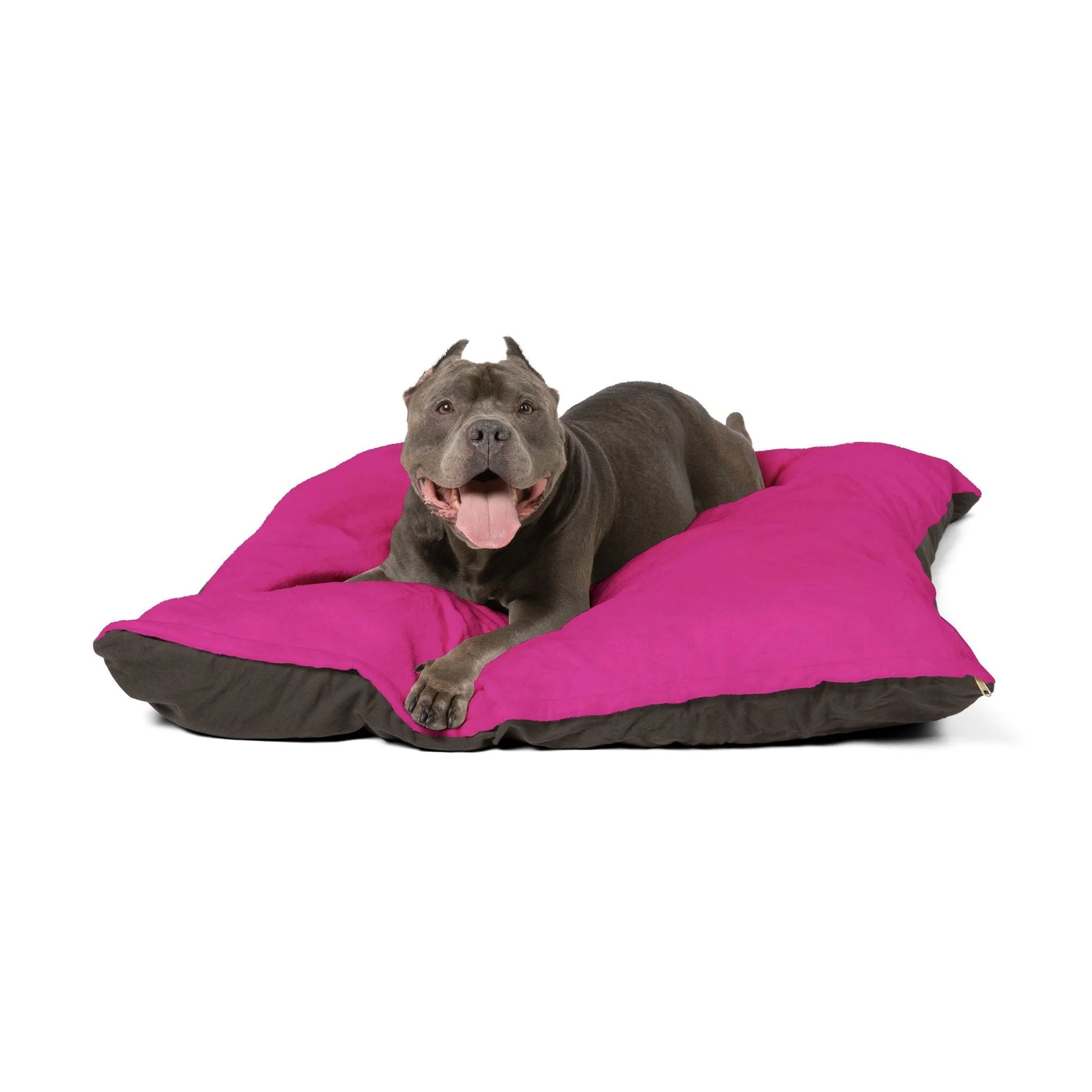 Buy The Best By Artsulli x Color Printify - Pet Bed - 2025