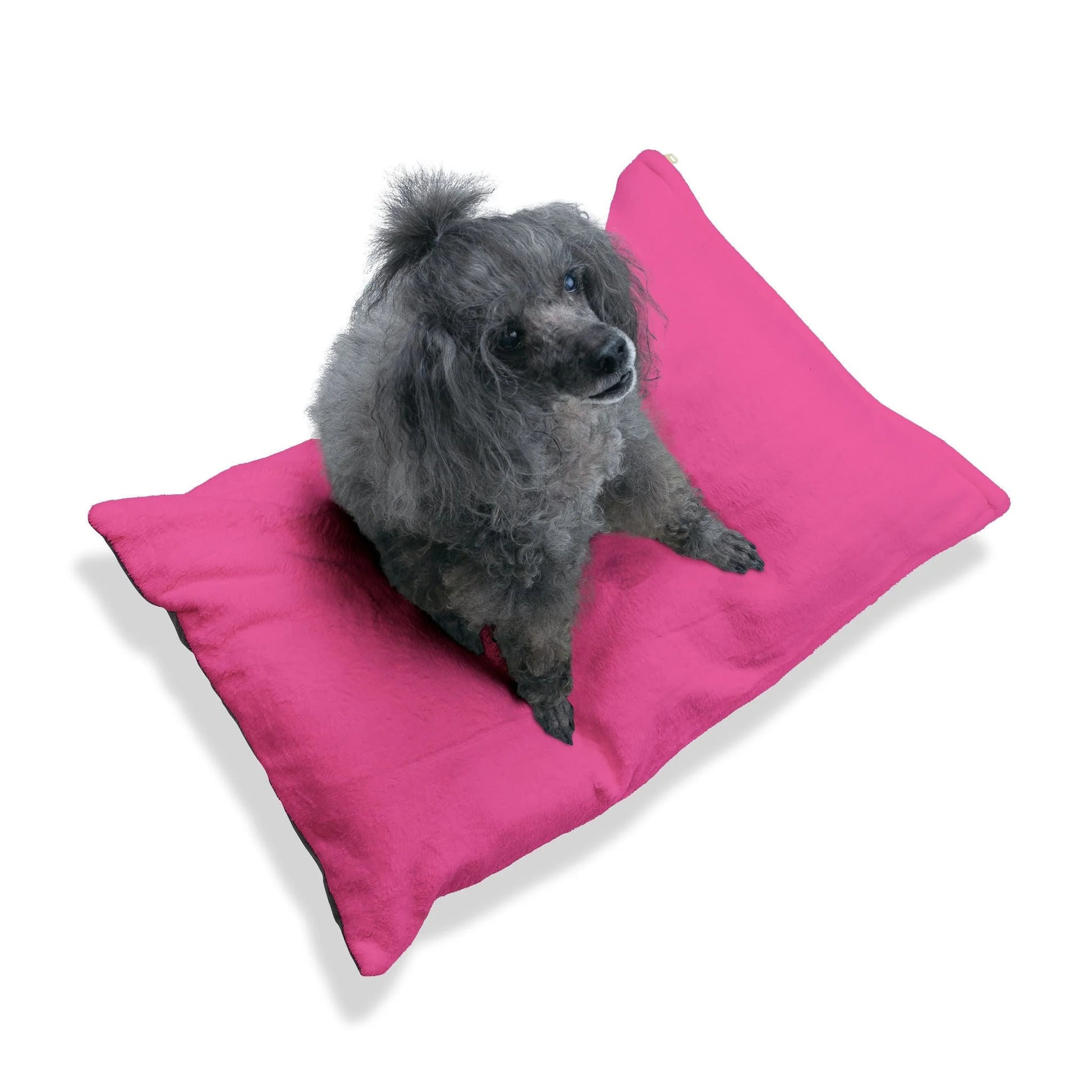 Buy The Best By Artsulli x Color Printify - Pet Bed - 2025