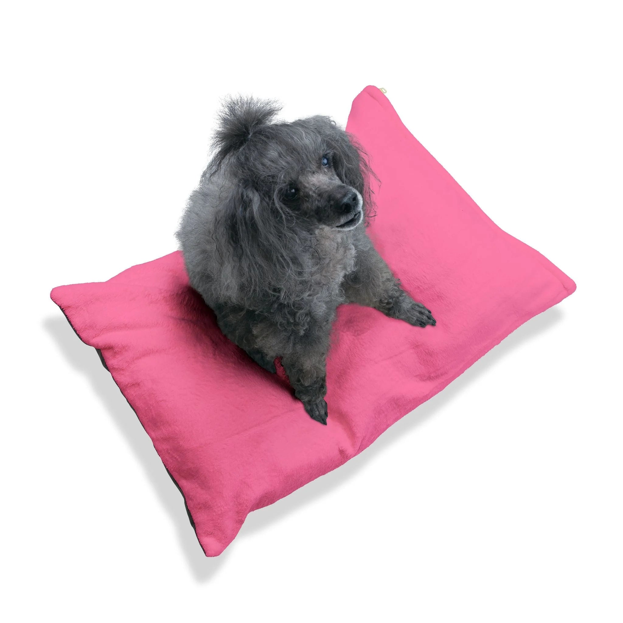 Buy The Best By Artsulli x Color Printify - Pet Bed - 2025