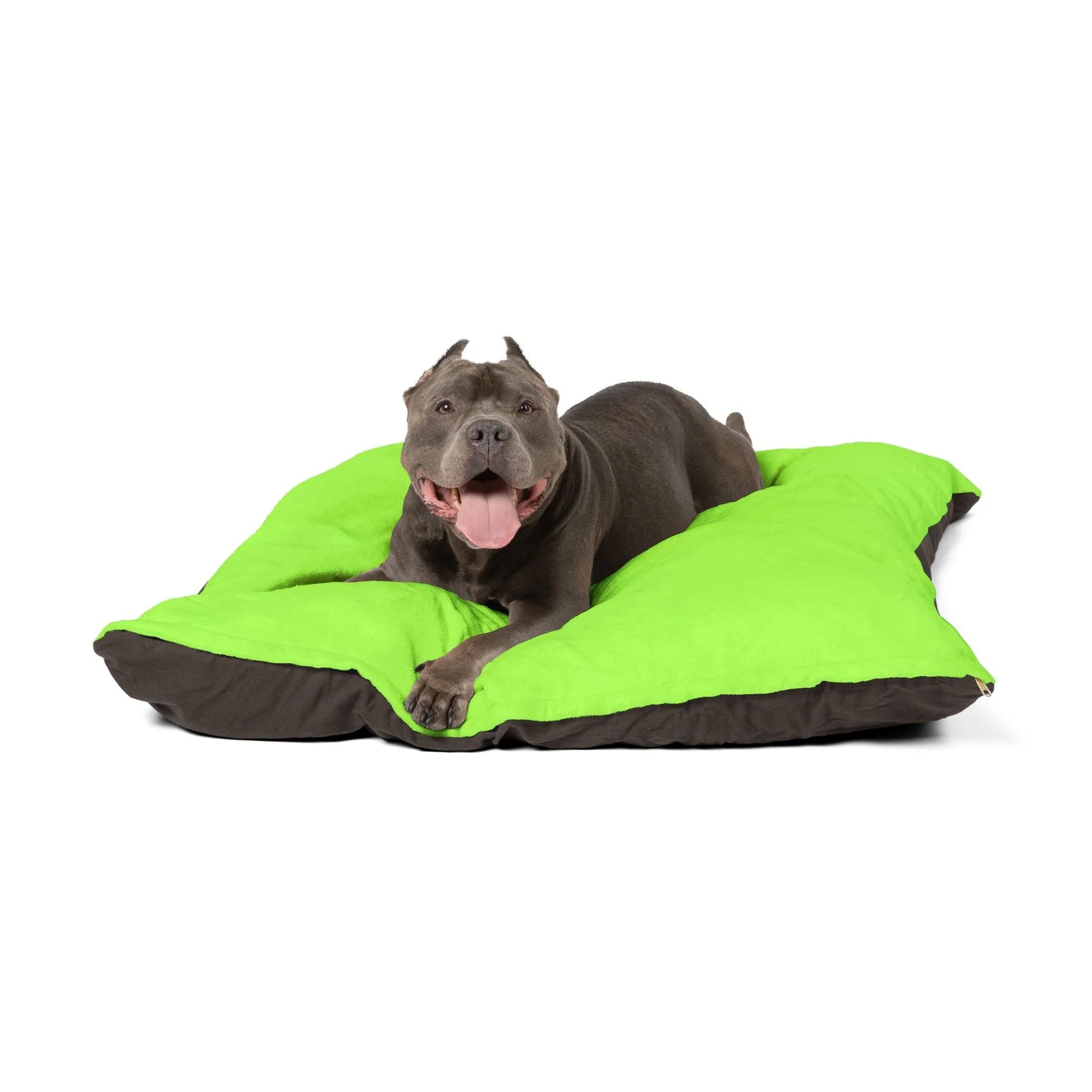 Buy The Best By Artsulli x Color Printify - Pet Bed - 2025
