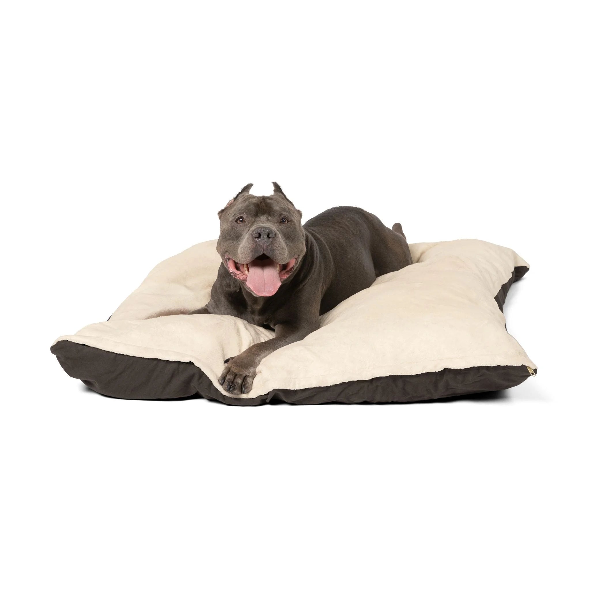 Buy The Best By Artsulli x Color Printify - Pet Bed - 2025