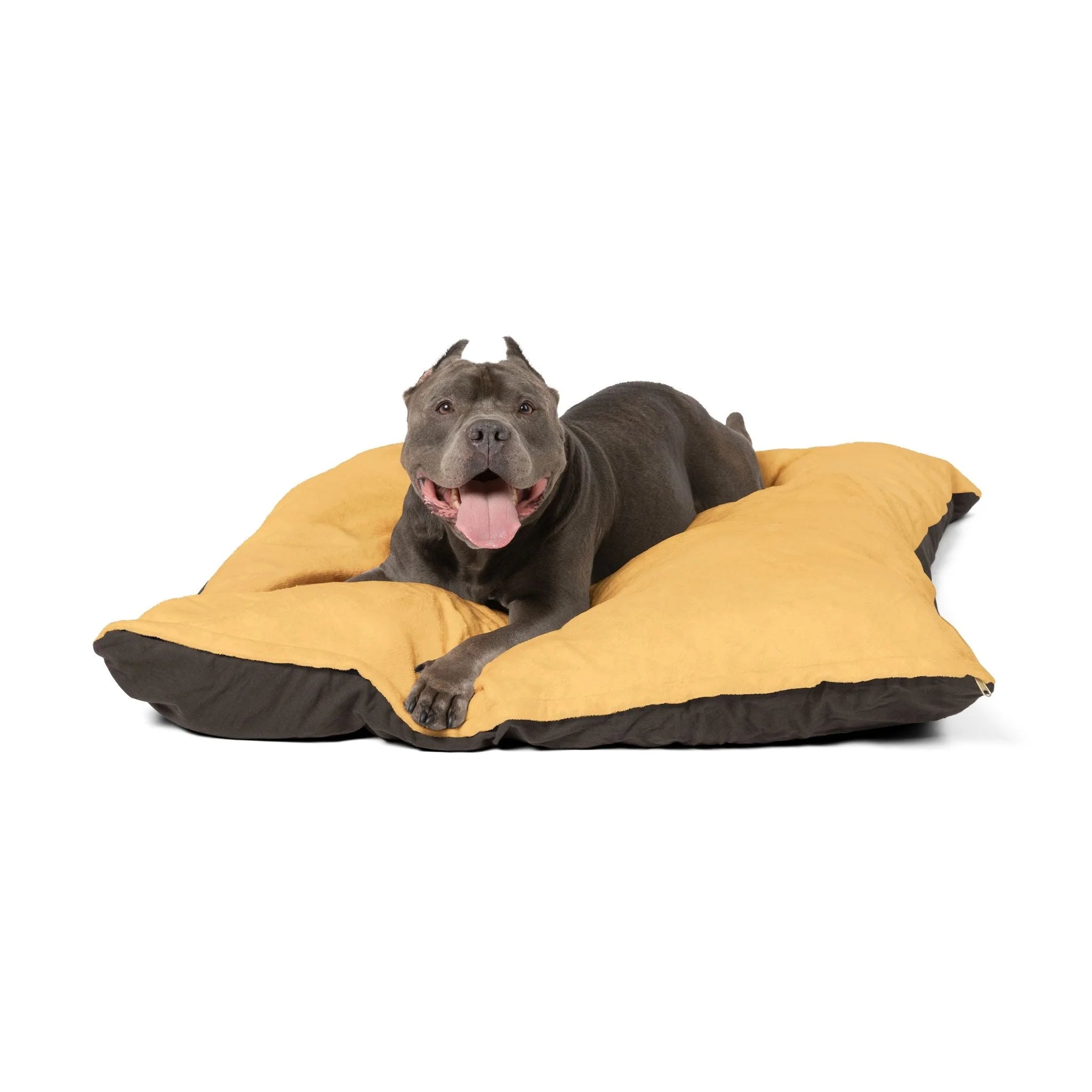 Buy The Best By Artsulli x Color Printify - Pet Bed - 2025