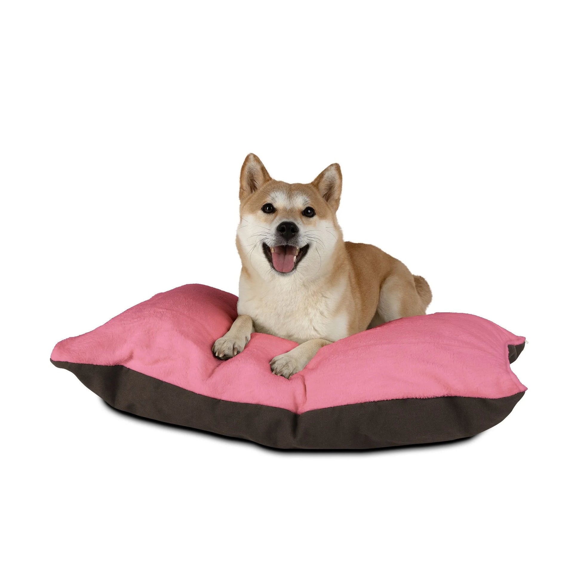 Buy The Best By Artsulli x Color Printify - Pet Bed - 2025