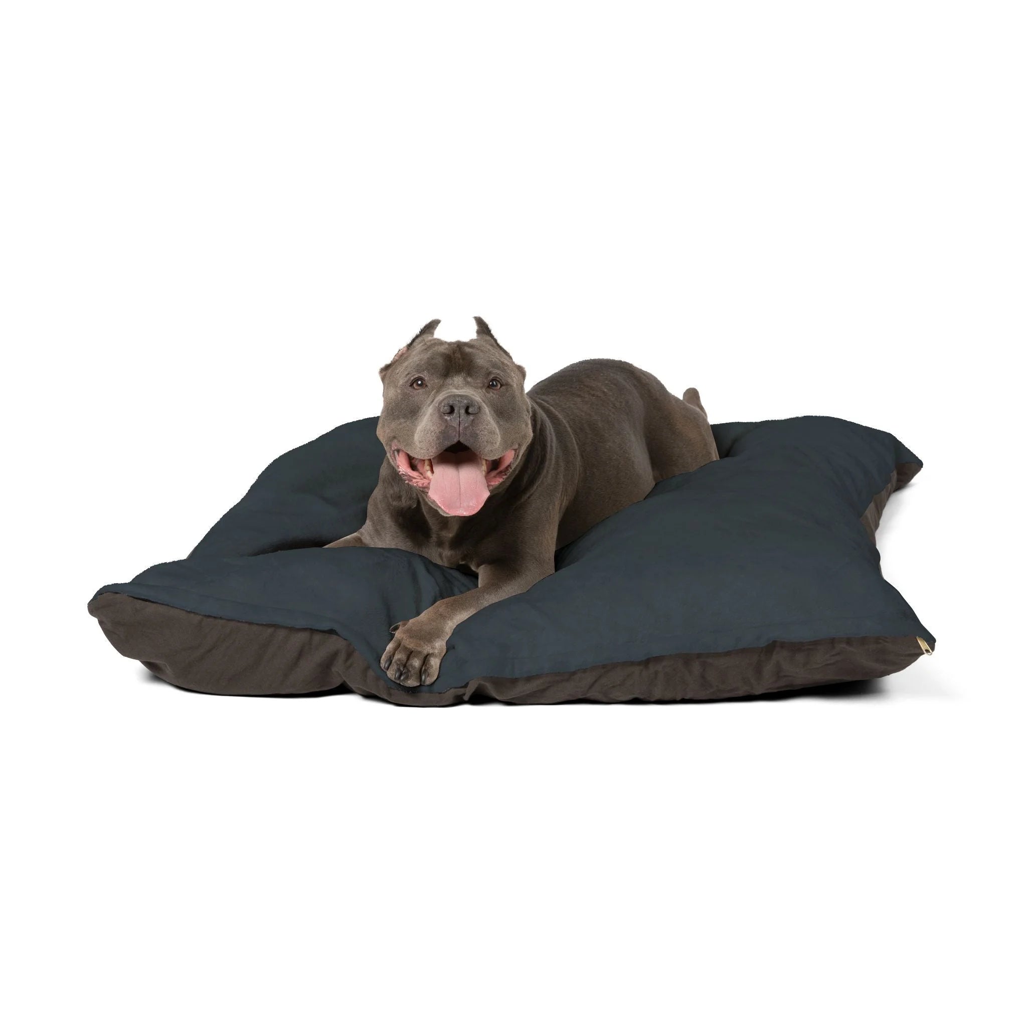 Buy The Best By Artsulli x Color Printify - Pet Bed - 2025