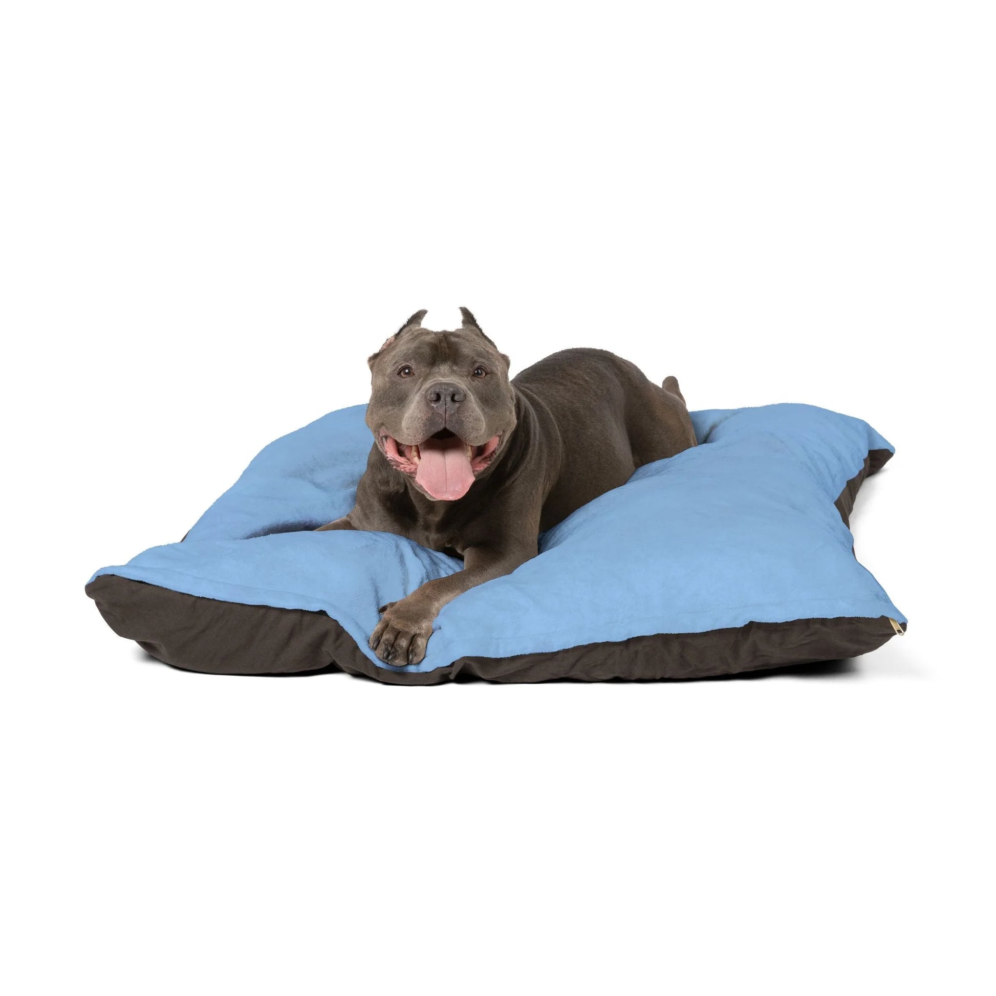 Buy The Best By Artsulli x Color Printify - Pet Bed - 2025