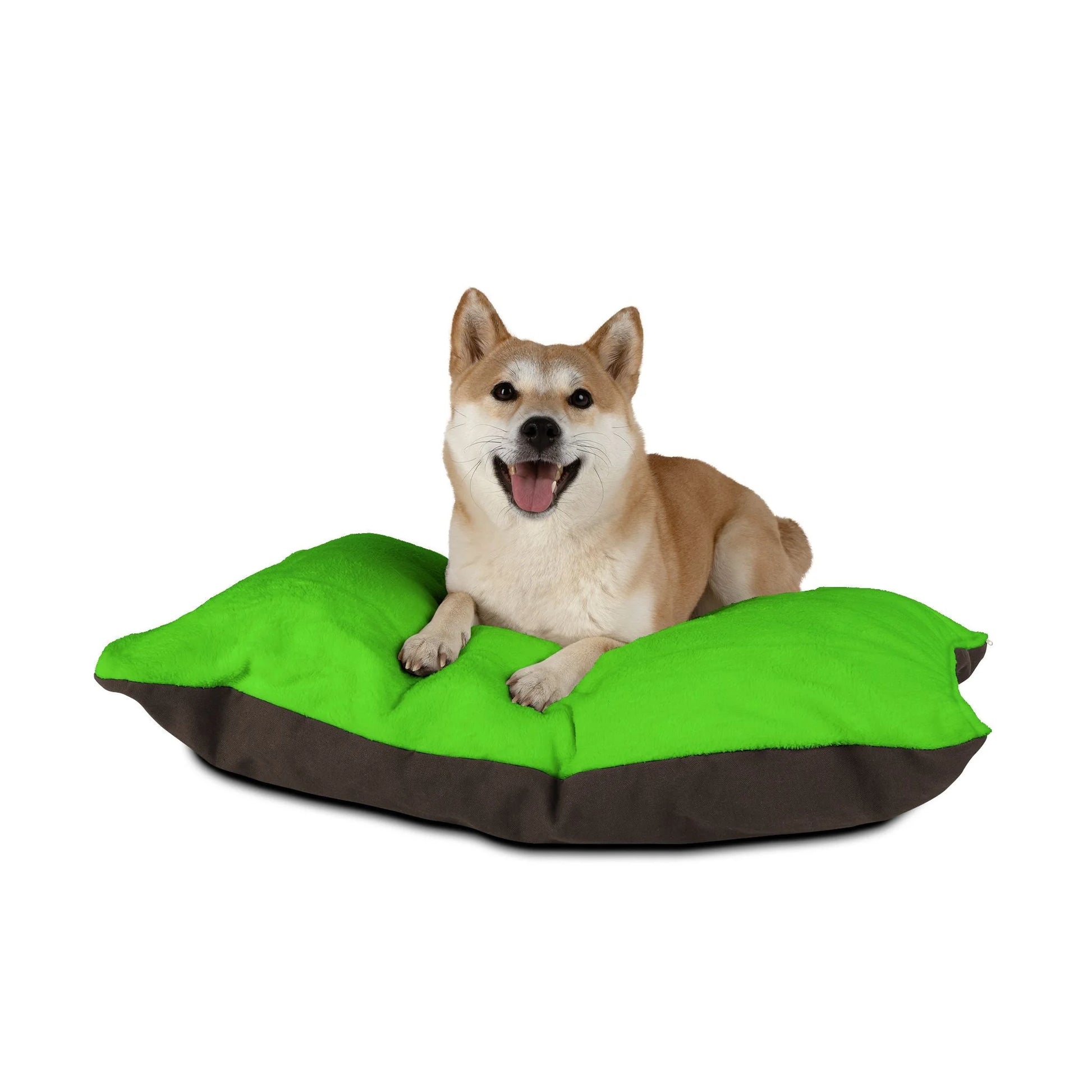 Buy The Best By Artsulli x Color Printify - Pet Bed - 2025