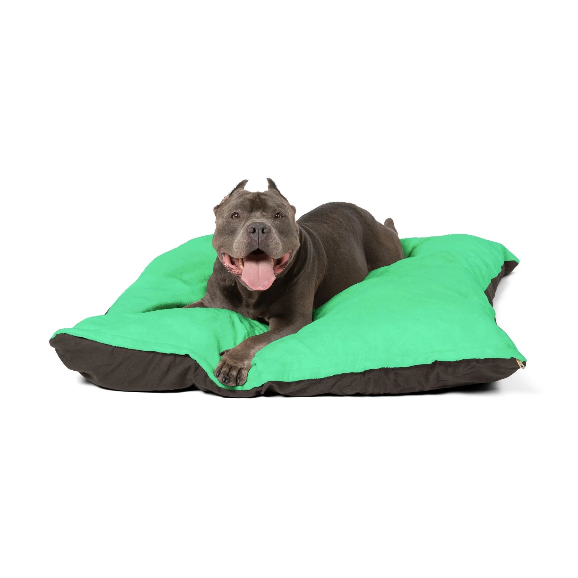 Buy The Best By Artsulli x Color Printify - Pet Bed - 2025