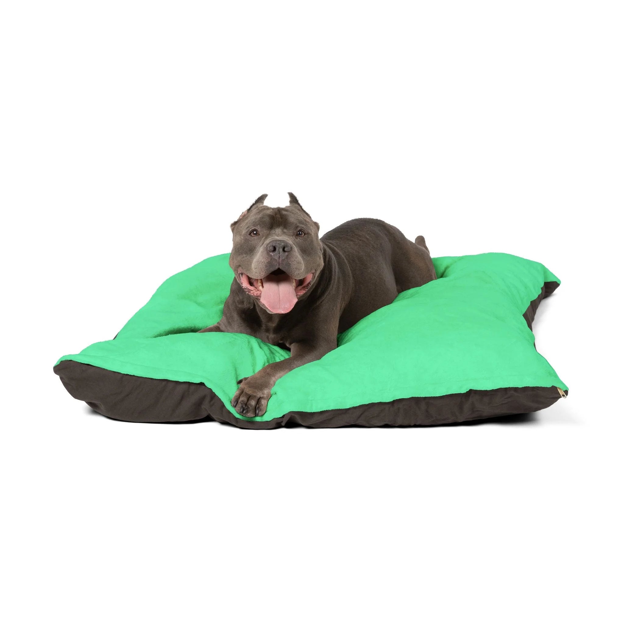 Buy The Best By Artsulli x Color Printify - Pet Bed - 2025