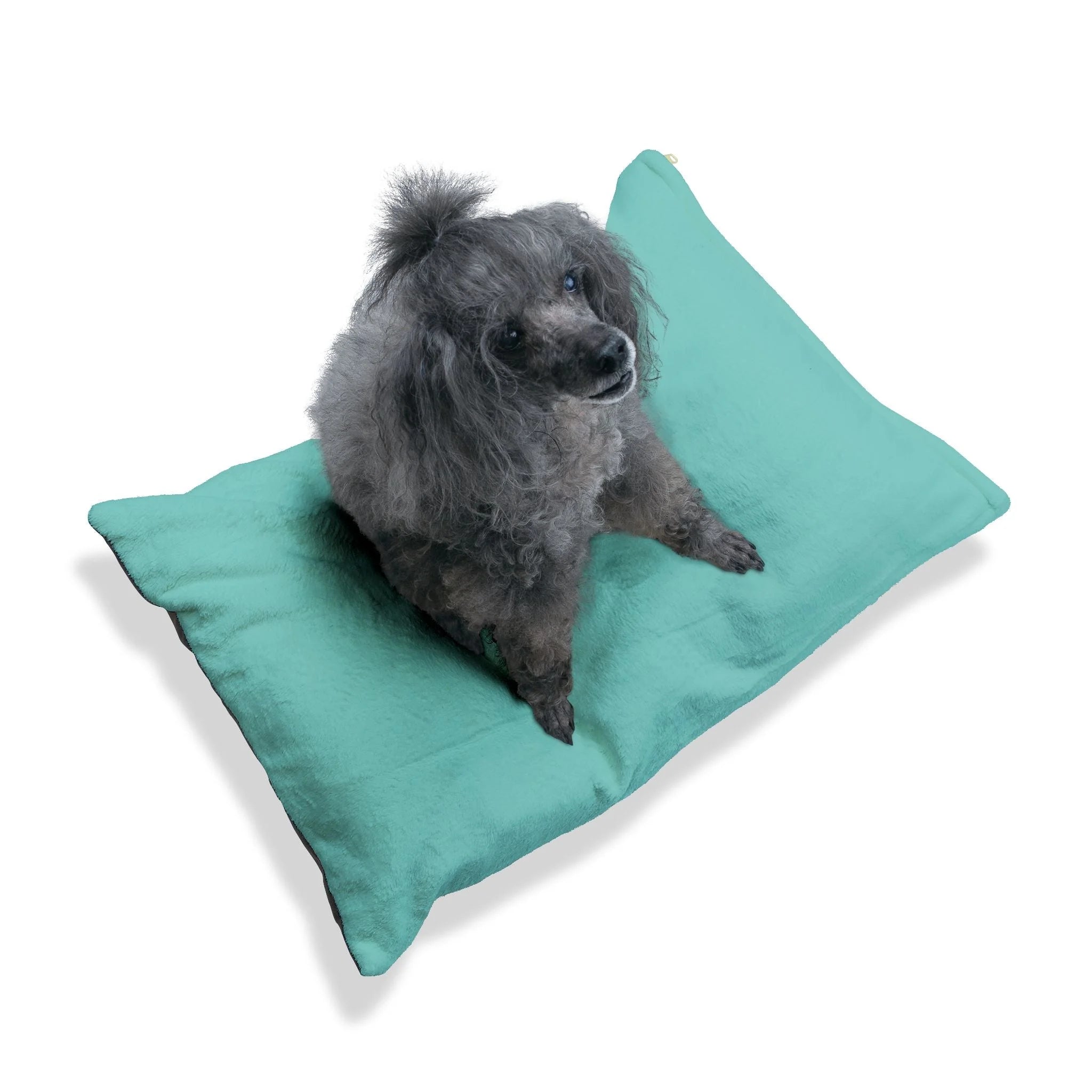 Buy The Best By Artsulli x Color Printify - Pet Bed - 2025