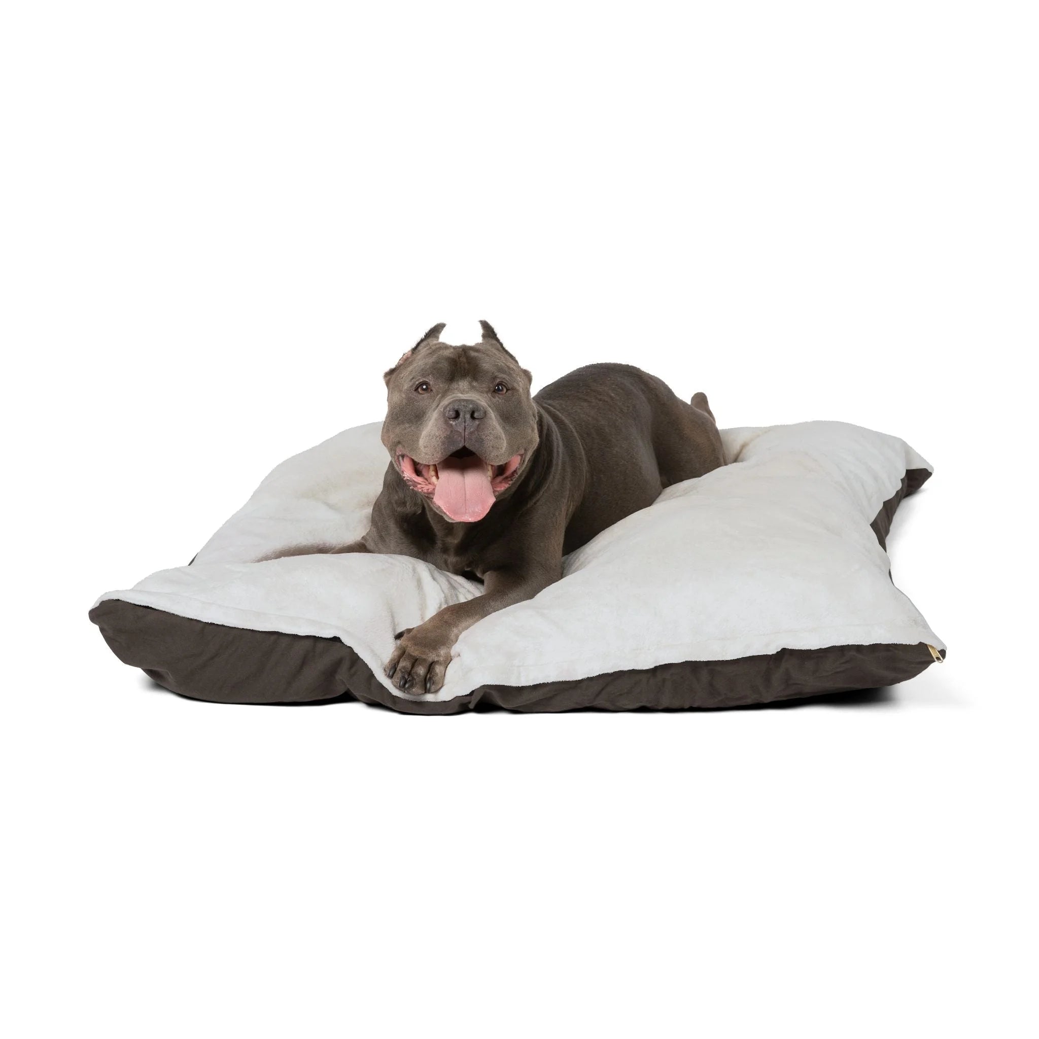 Buy The Best By Artsulli x Color Printify - Pet Bed - 2025