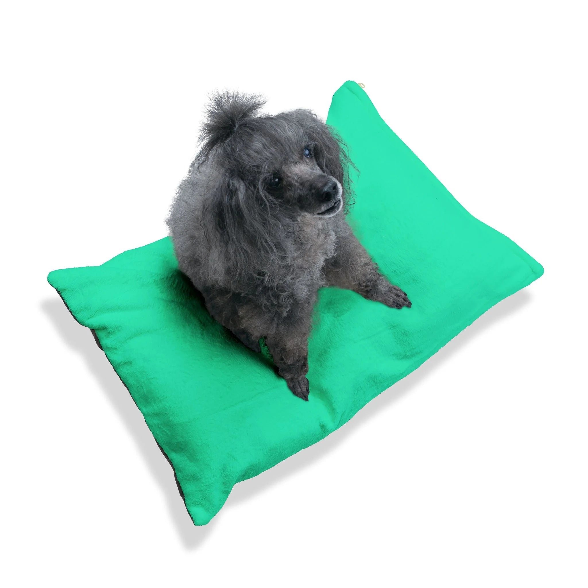 Buy The Best By Artsulli x Color Printify - Pet Bed - 2025