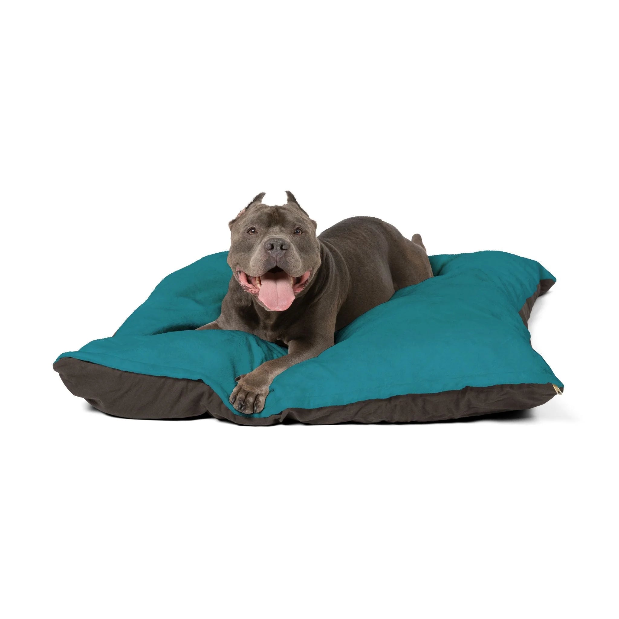 Buy The Best By Artsulli x Color Printify - Pet Bed - 2025