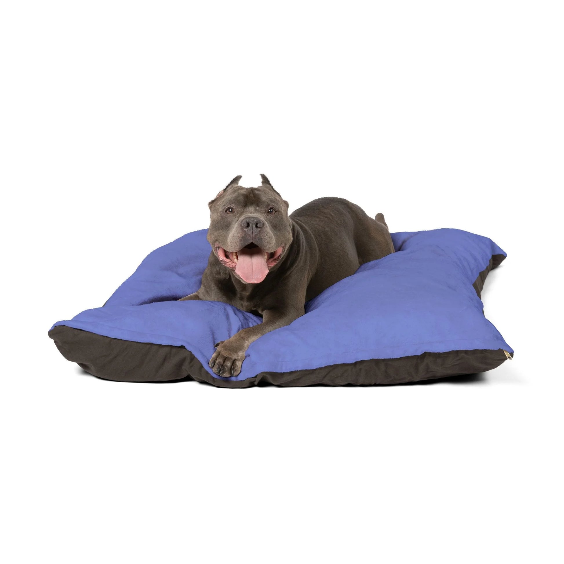 Buy The Best By Artsulli x Color Printify - Pet Bed - 2025