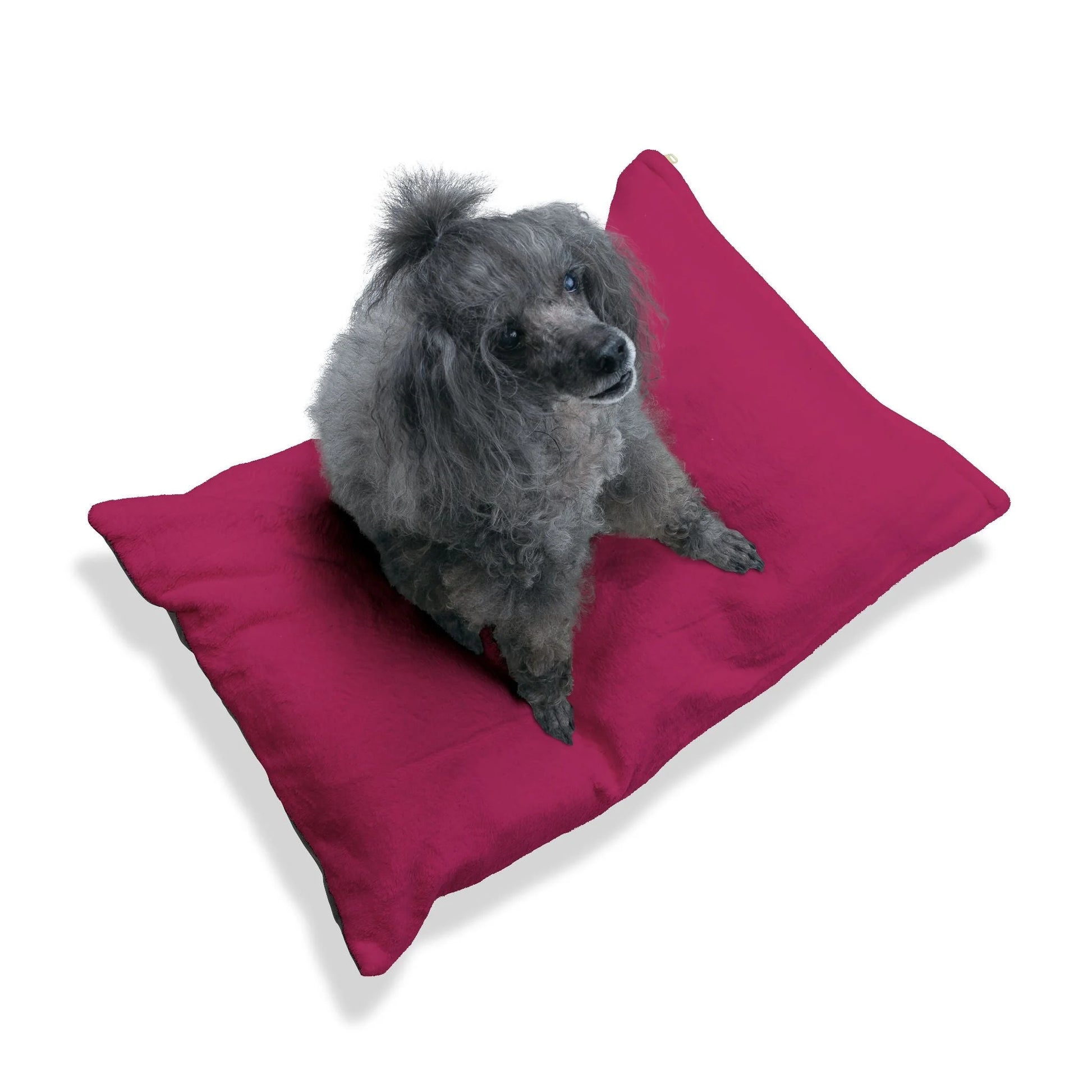 Buy The Best By Artsulli x Color Printify - Pet Bed - 2025