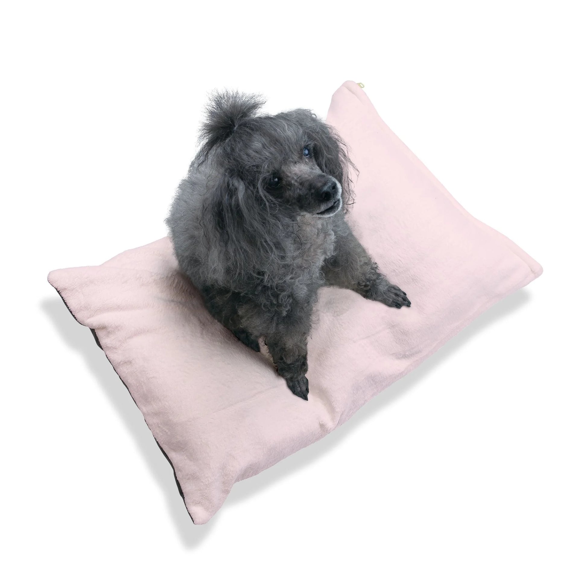 Buy The Best By Artsulli x Color Printify - Pet Bed - 2025