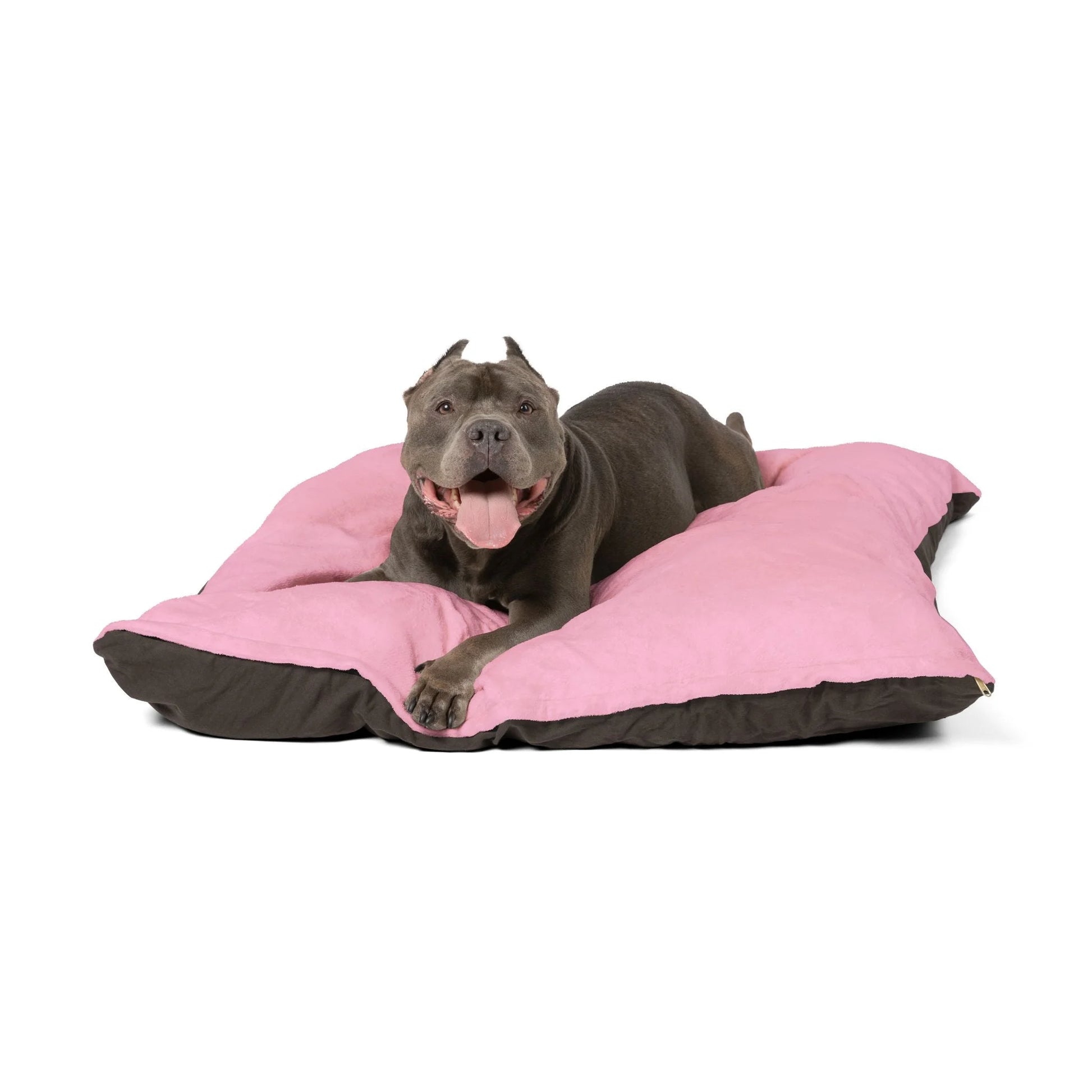 Buy The Best By Artsulli x Color Printify - Pet Bed - 2025