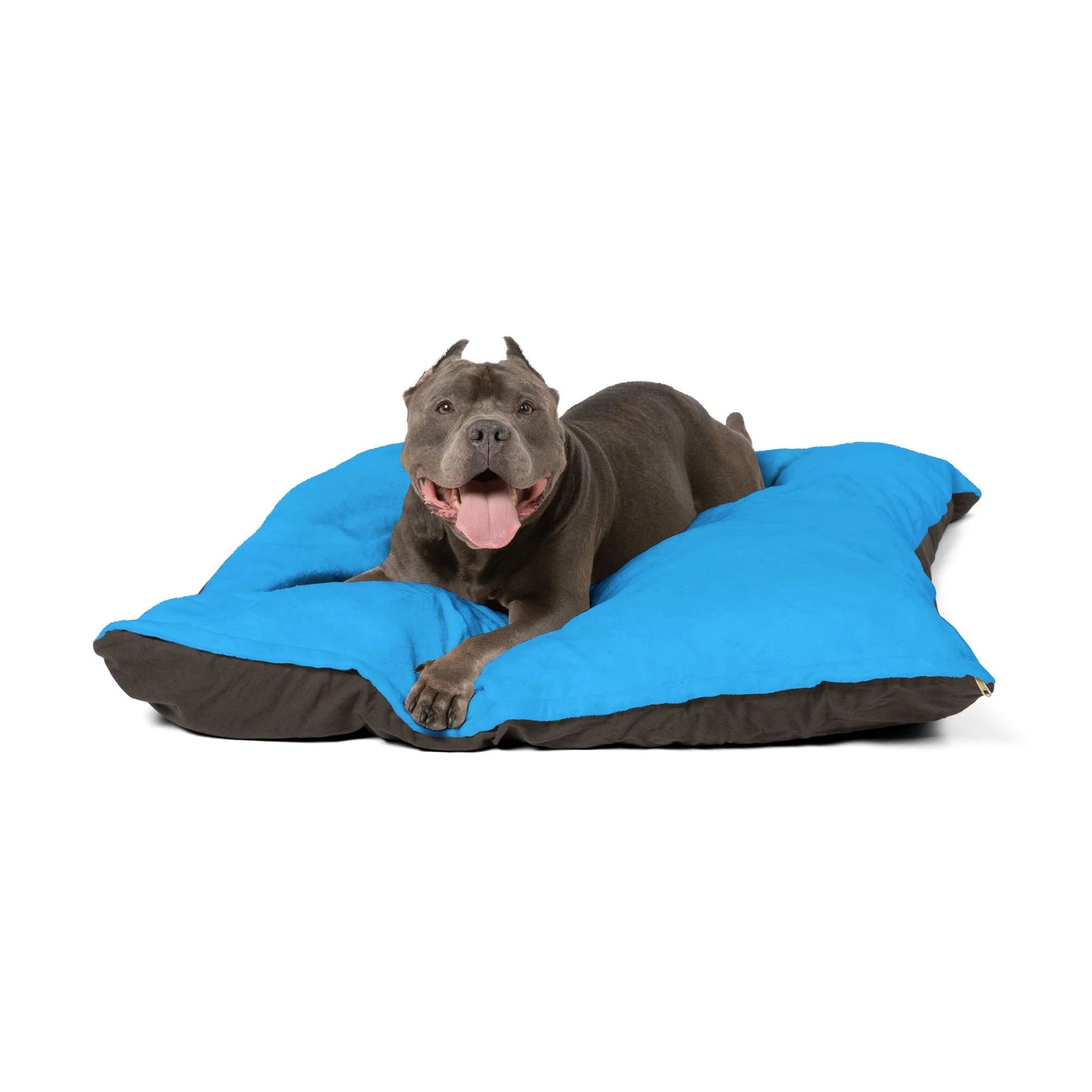 Buy The Best By Artsulli x Color Printify - Pet Bed - 2025