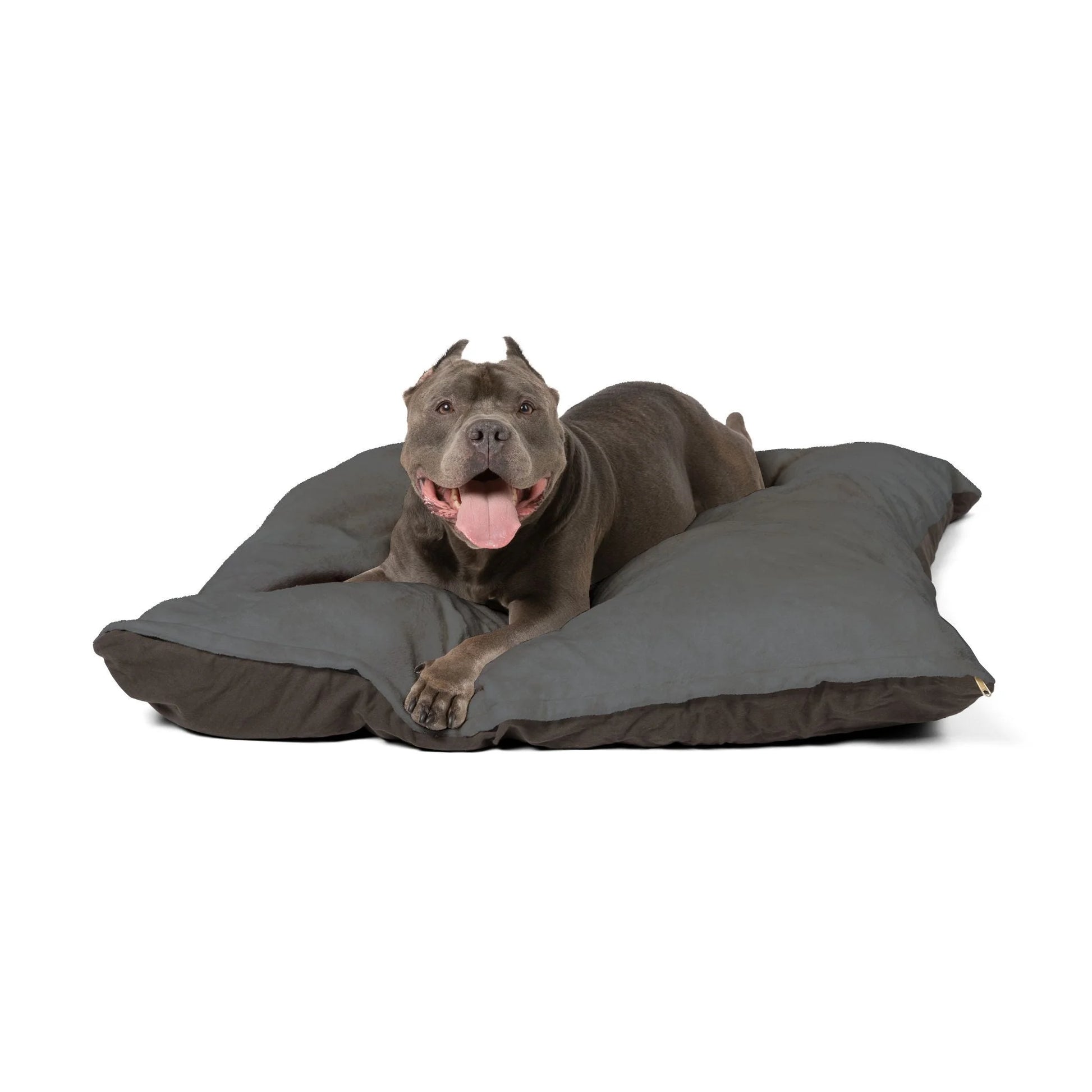 Buy The Best By Artsulli x Color Printify - Pet Bed - 2025