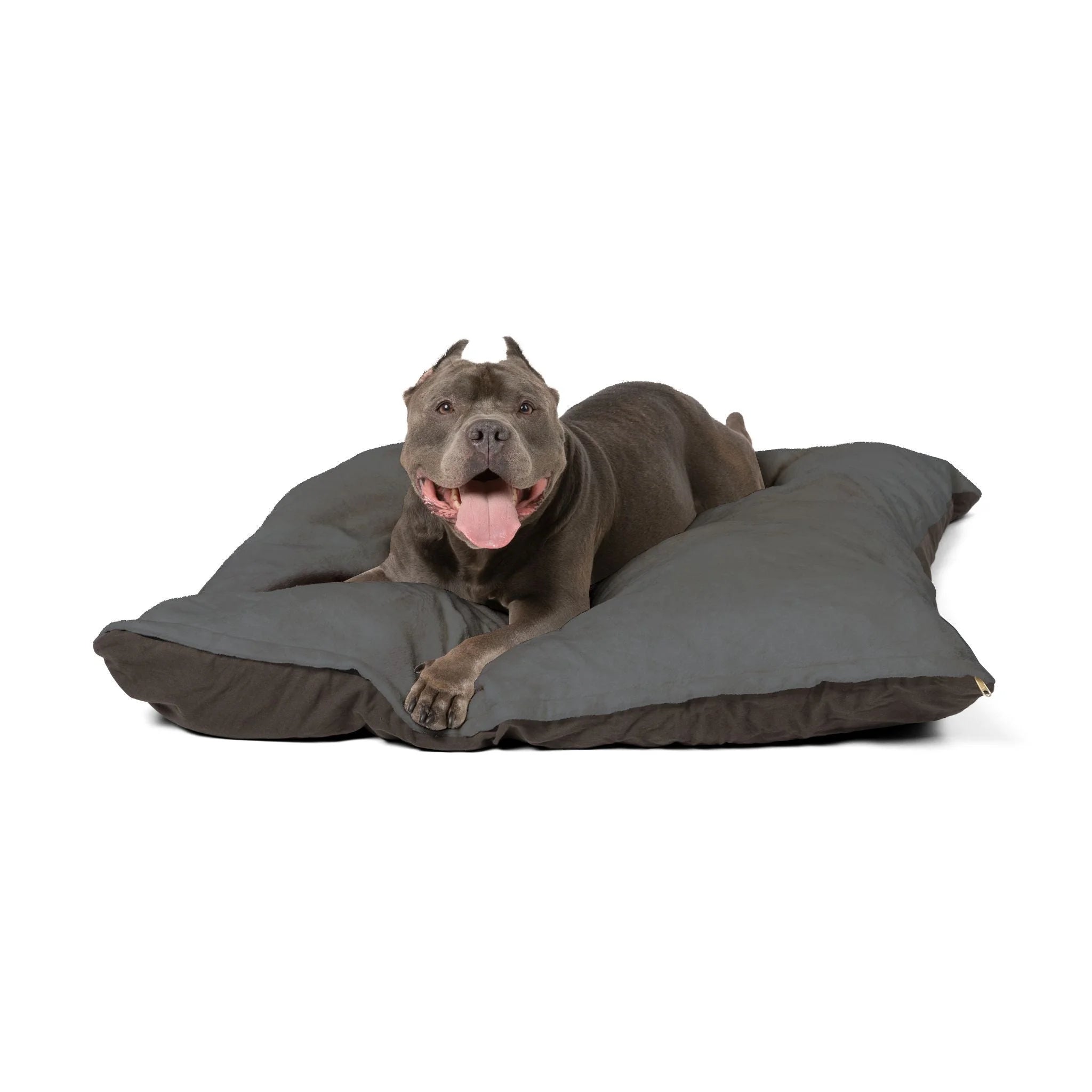 Buy The Best By Artsulli x Color Printify - Pet Bed - 2025