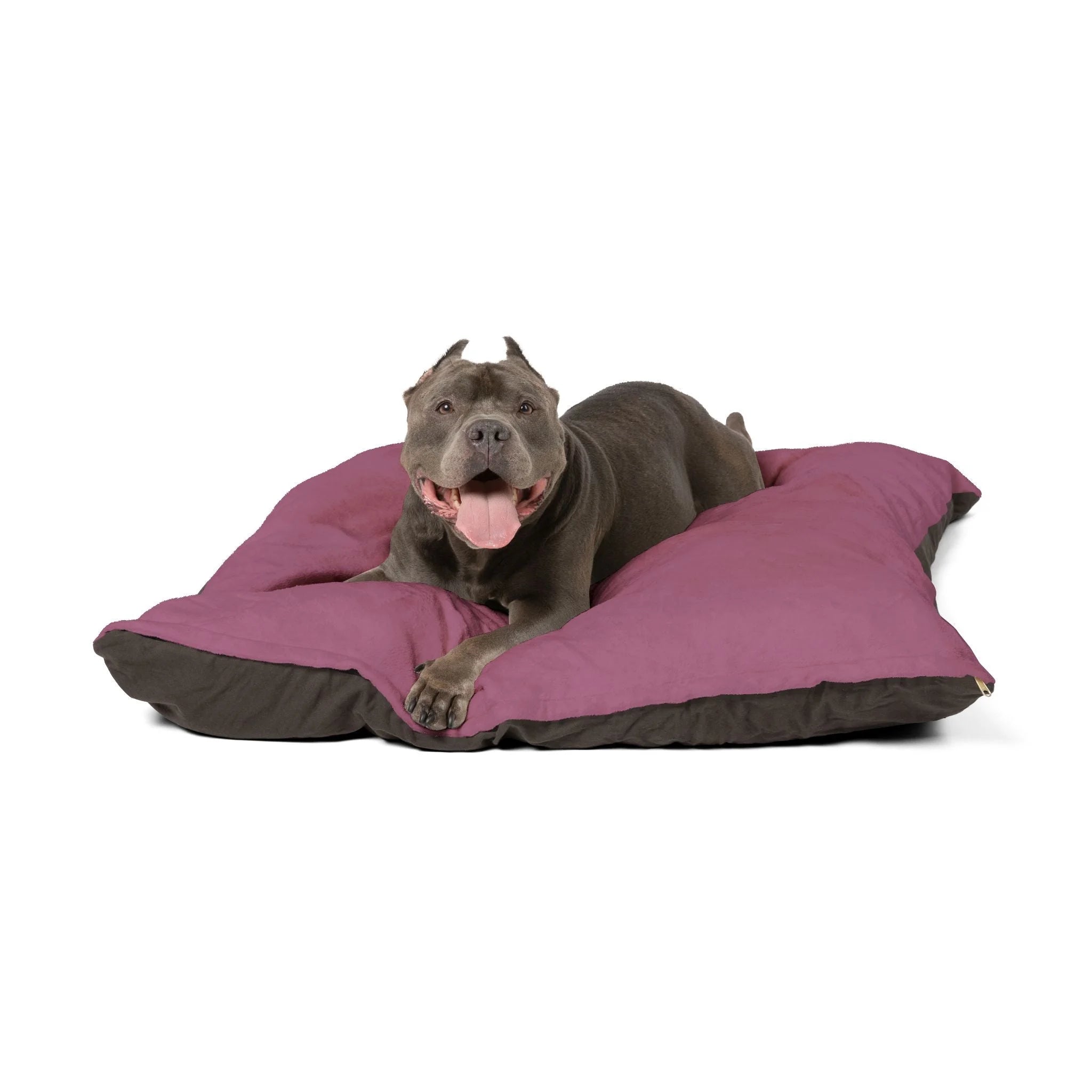 Buy The Best By Printify - Pet Bed - 2025