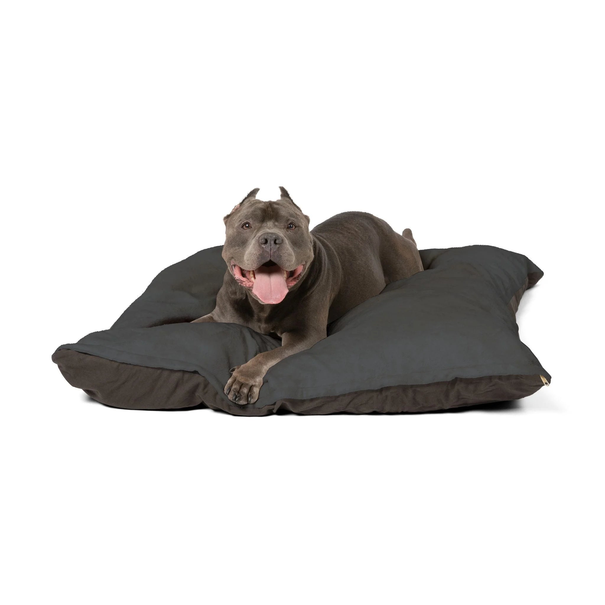 Buy The Best By Artsulli x Color Printify - Pet Bed - 2025