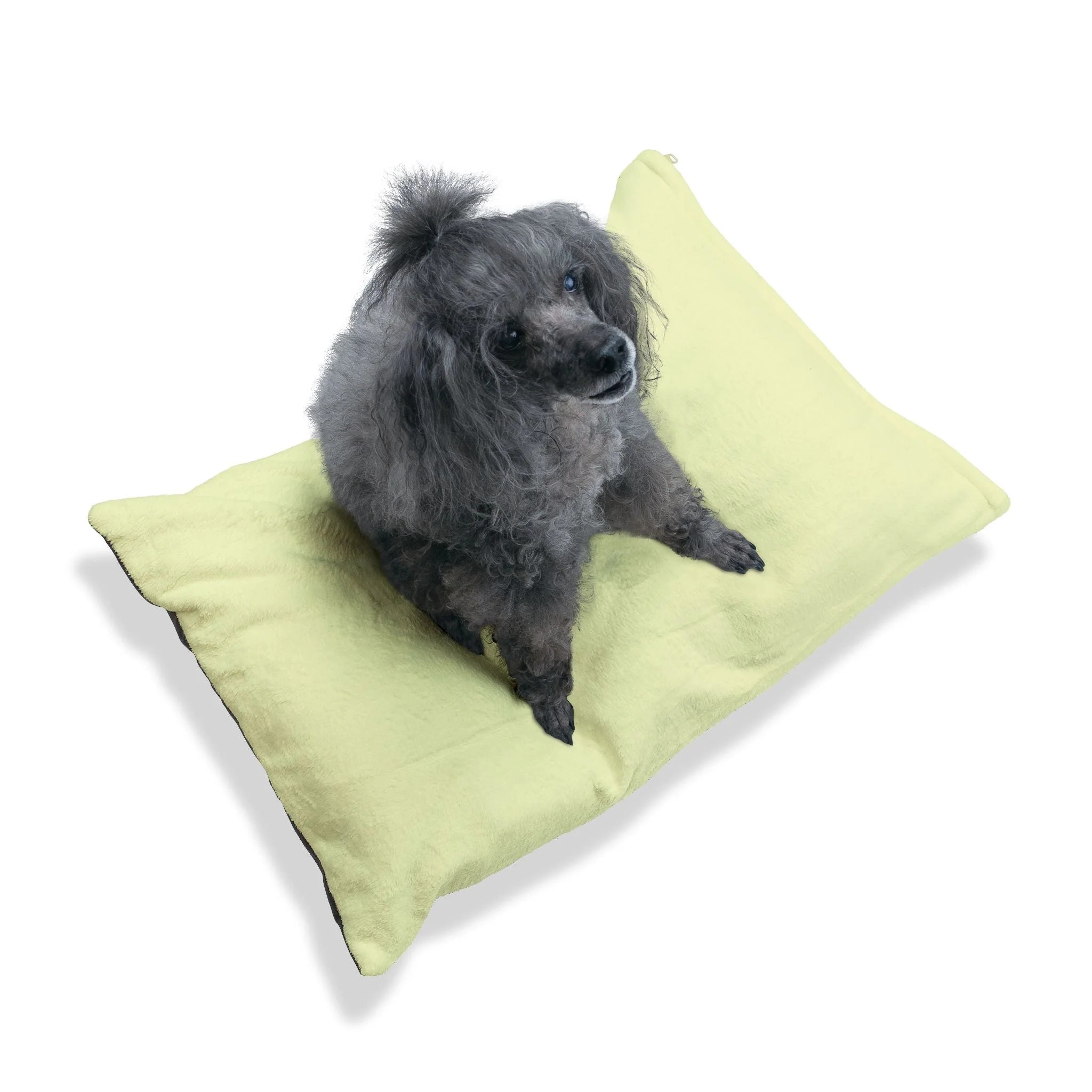 Buy The Best By Artsulli x Color Printify - Pet Bed - 2025