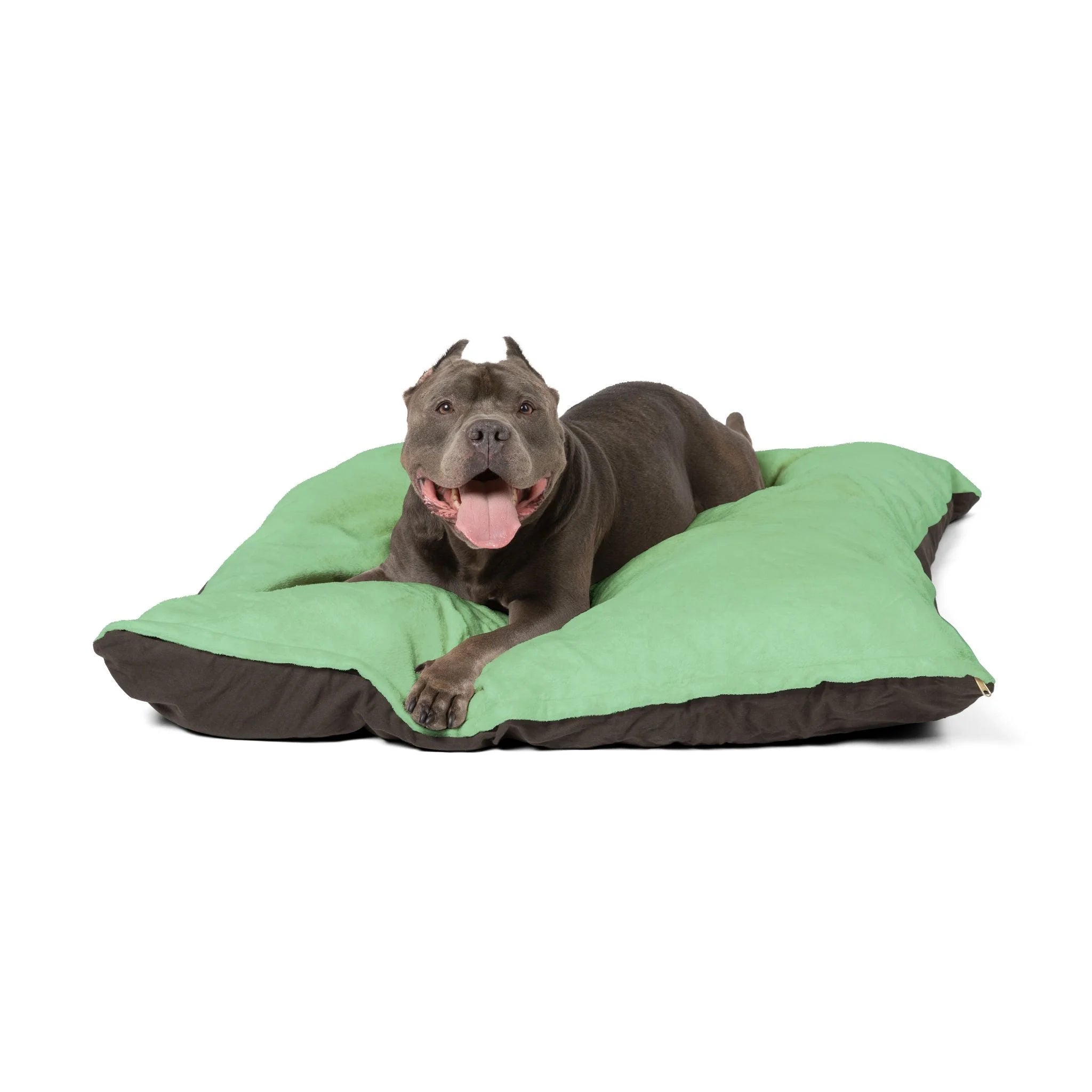 Buy The Best By Artsulli x Color Printify - Pet Bed - 2025