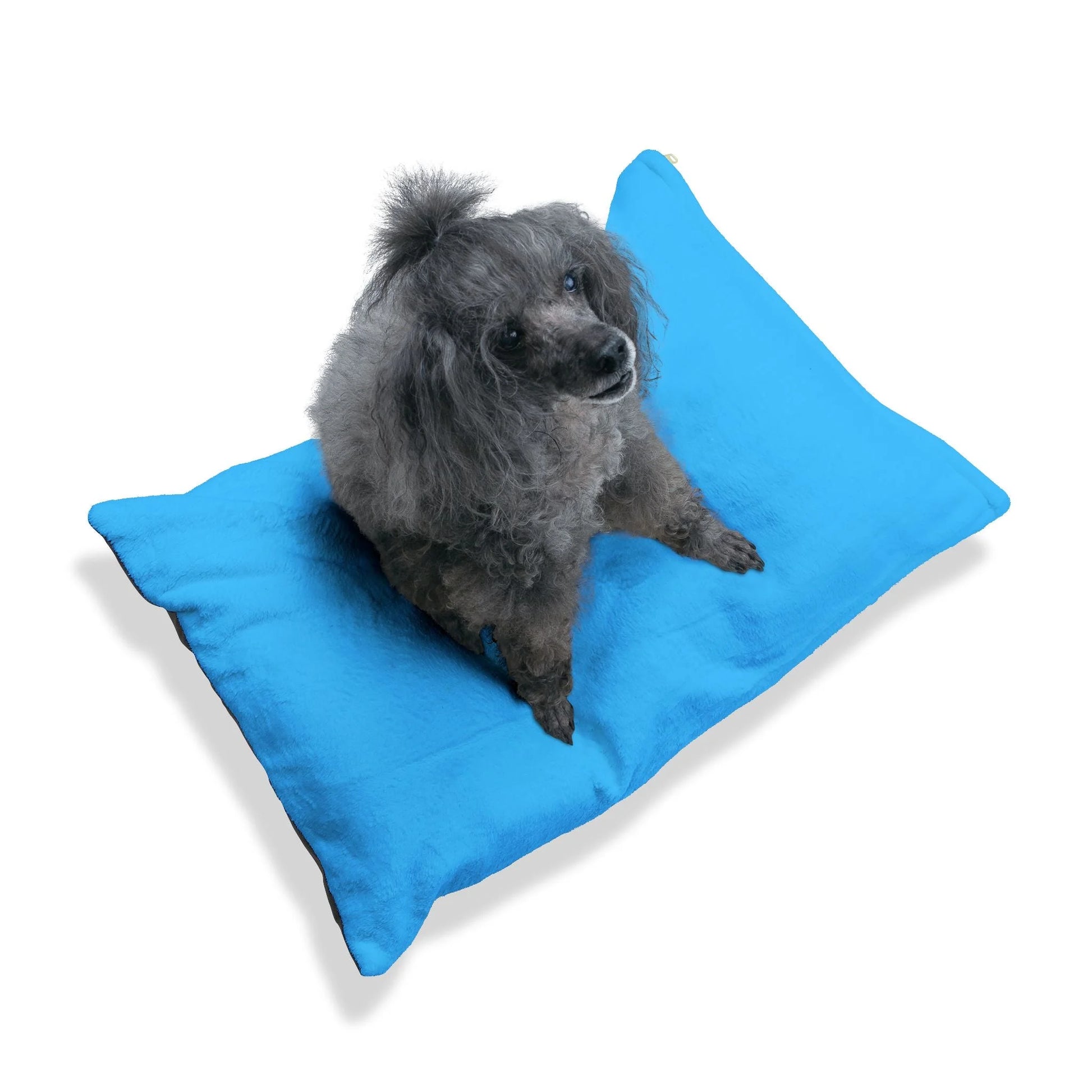 Buy The Best By Artsulli x Color Printify - Pet Bed - 2025