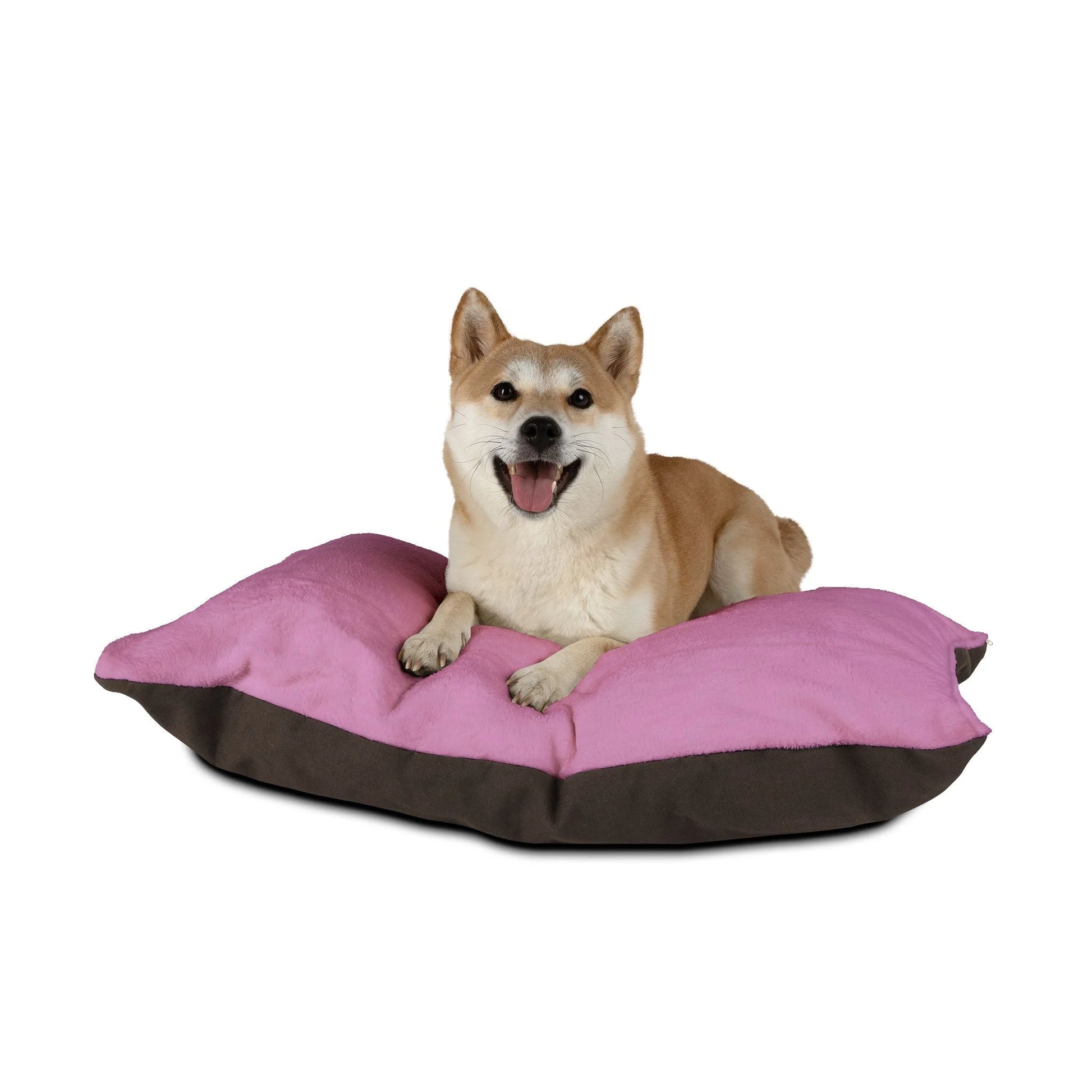 Buy The Best By Artsulli x Color Printify - Pet Bed - 2025