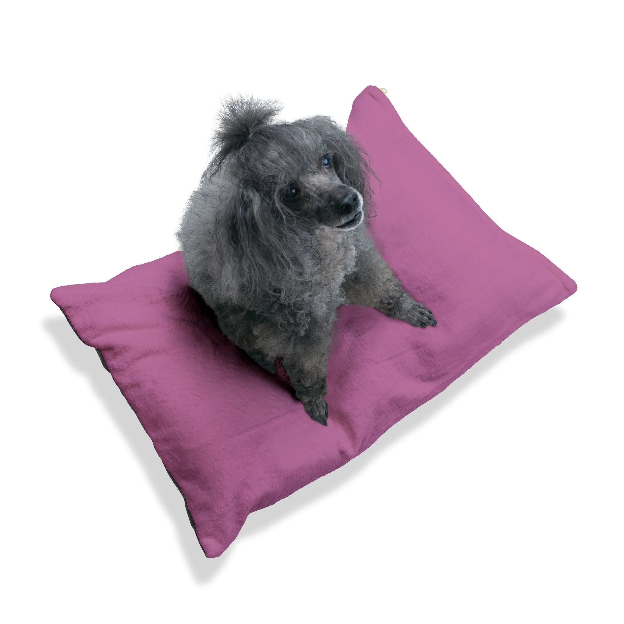Buy The Best By Artsulli x Color Printify - Pet Bed - 2025