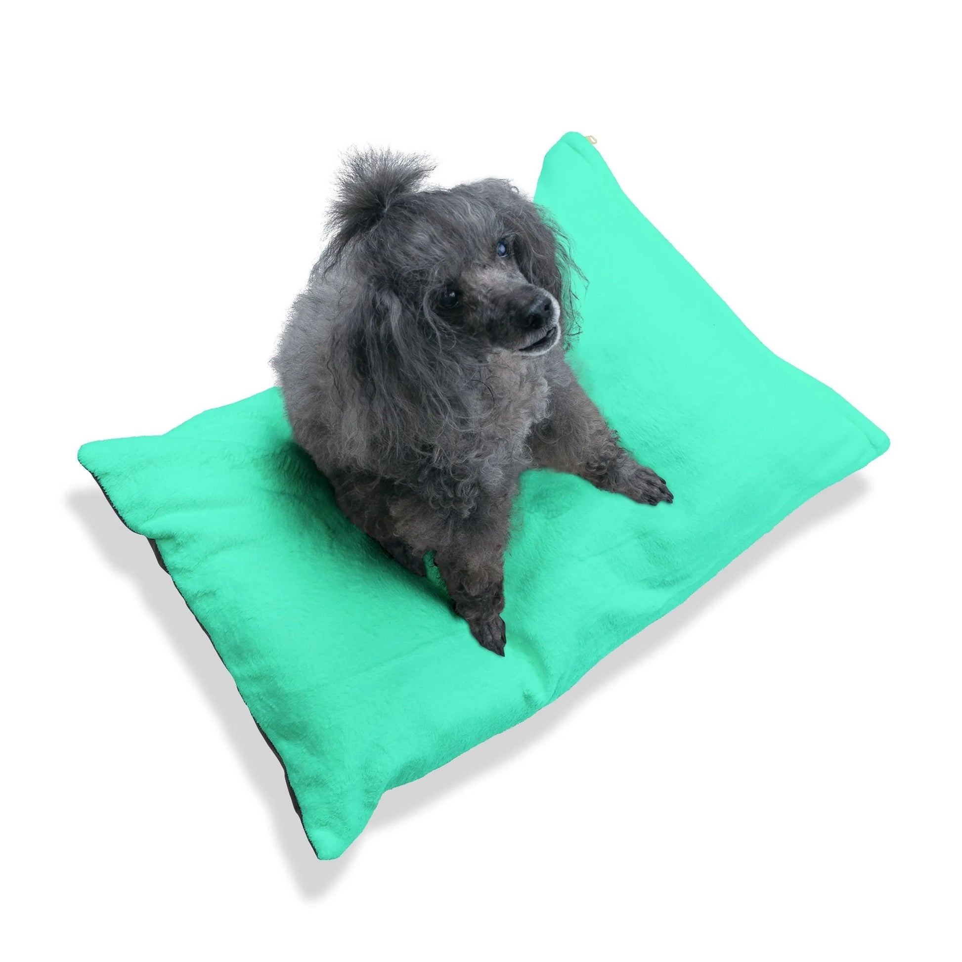 Buy The Best By Artsulli x Color Printify - Pet Bed - 2025