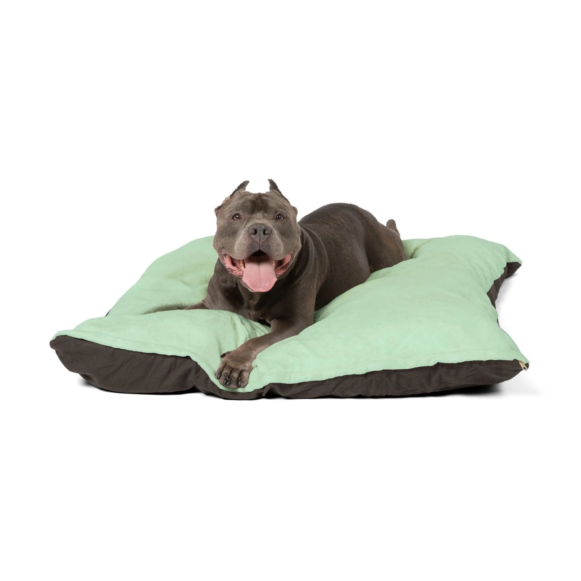 Buy The Best By Artsulli x Color Printify - Pet Bed - 2025