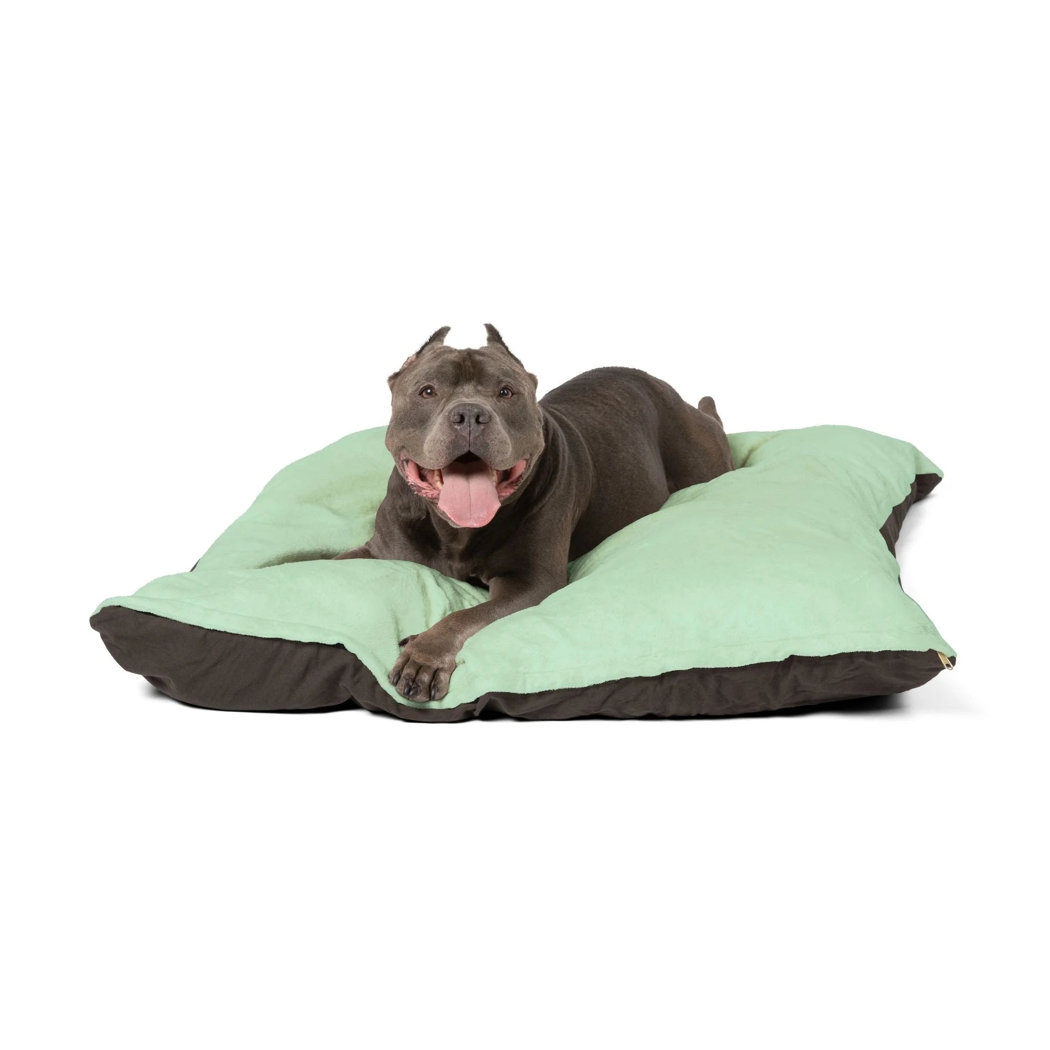 Buy The Best By Artsulli x Color Printify - Pet Bed - 2025